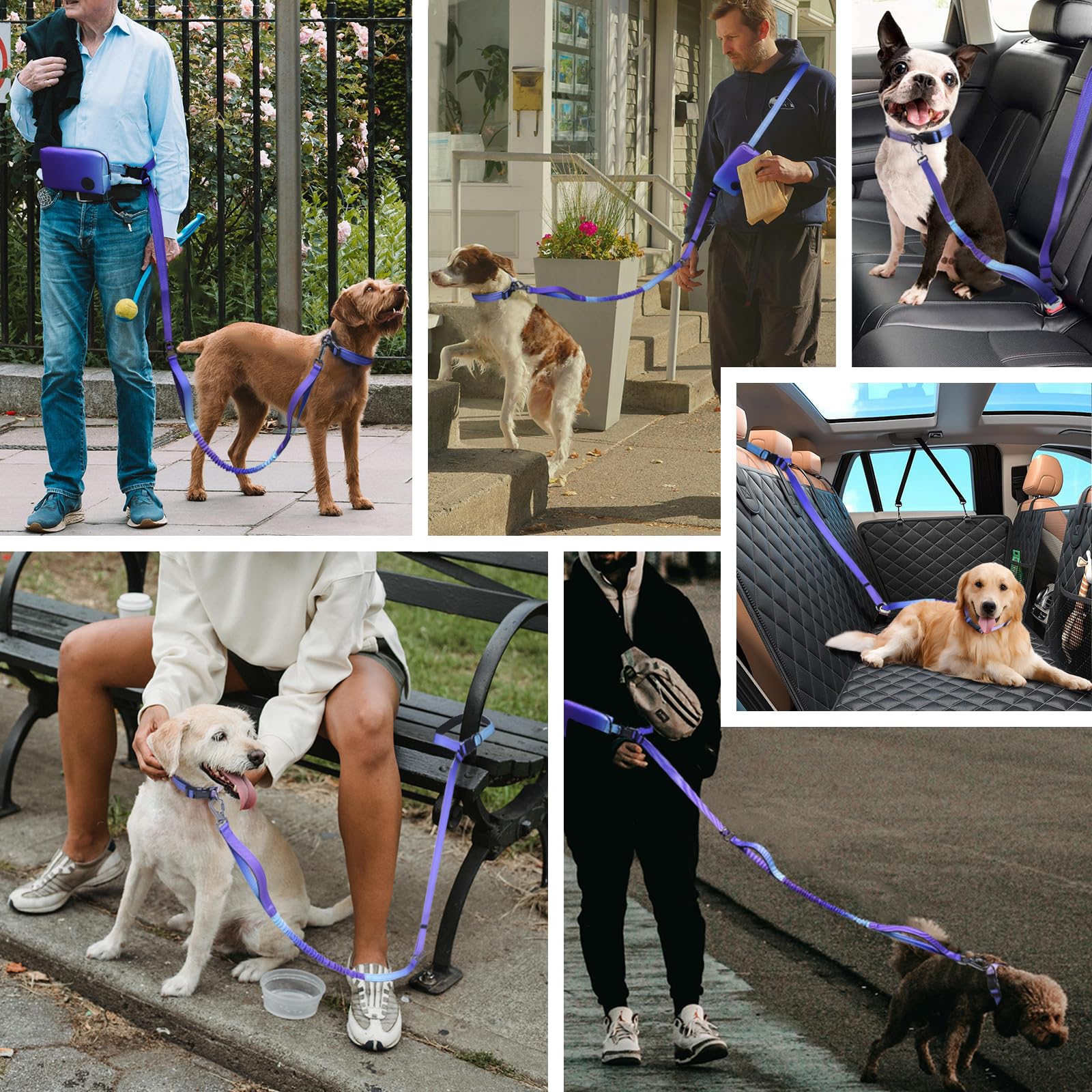 Roses&Poetry Laisse mains libres pour chien avec pochette à fermeture éclair, 1,8 à 2,7 m pour chiens de moyenne et grande taille, laisse de marche, de course avec deux poignées rembourrées, boucle de