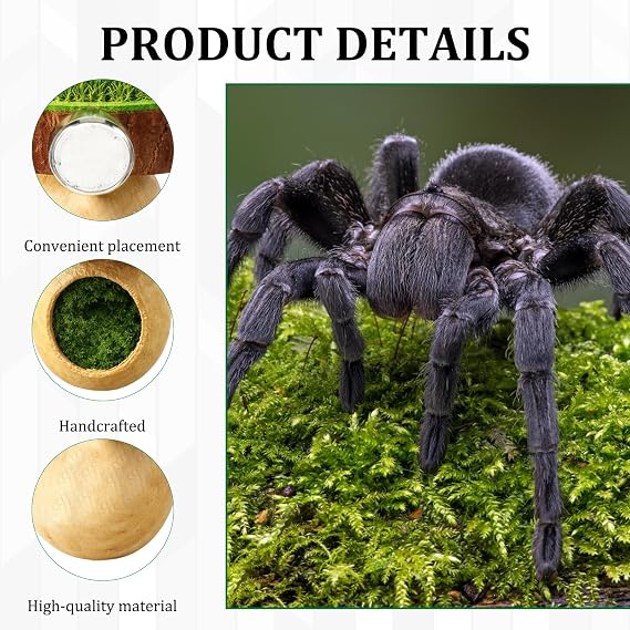 Jumping Spider Accessories, Jumping Spider Enclosure, Suitable for Enriching Fences, Creating Habitats and Jumping In Reptile Habitats