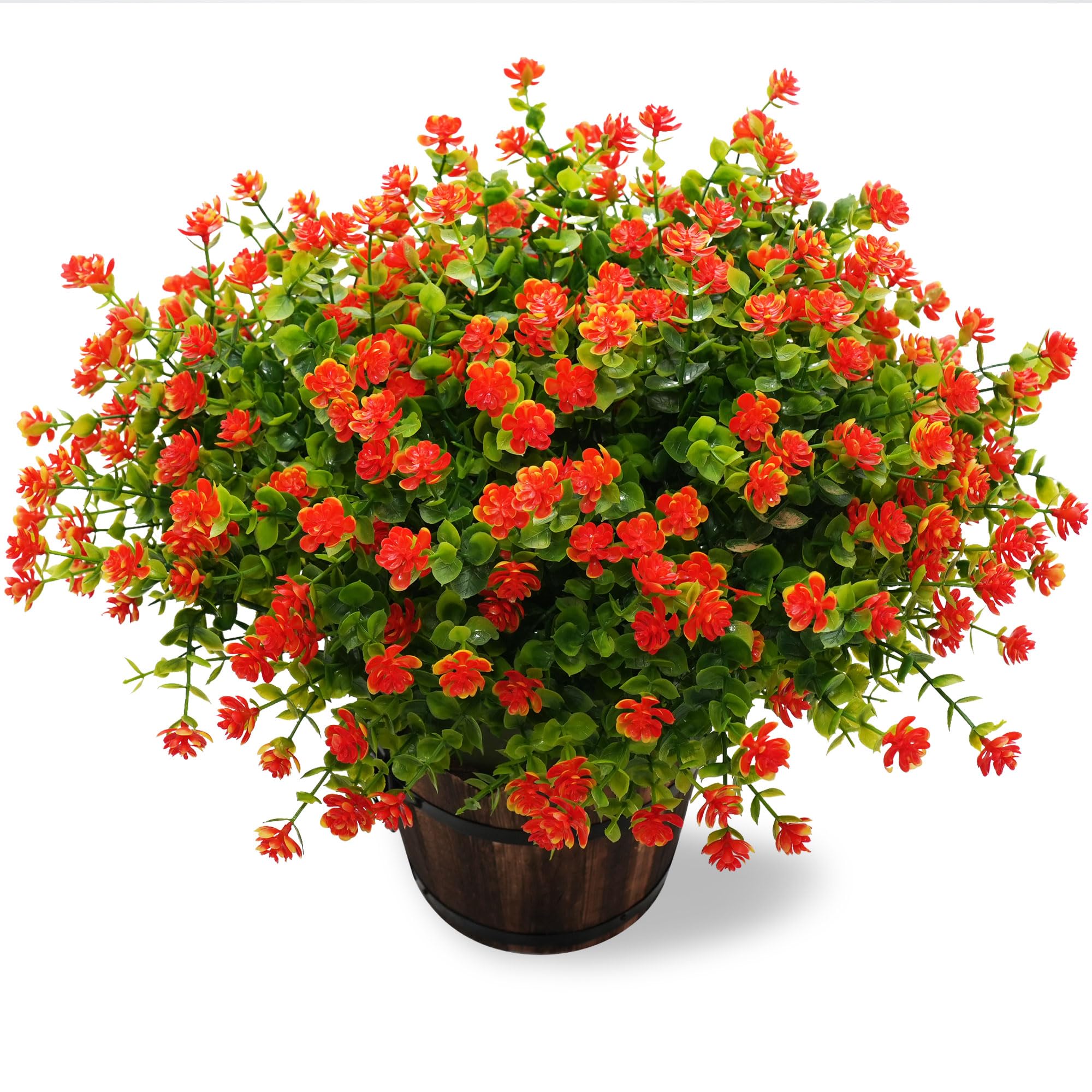 product_img5