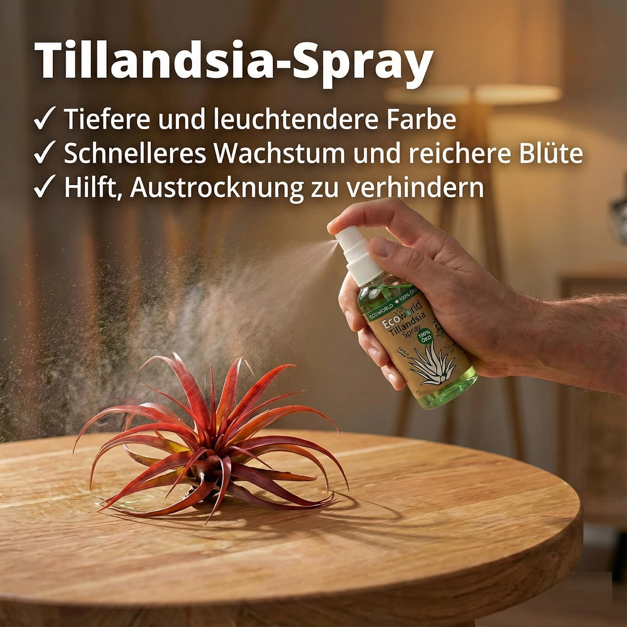 Vdvelde․com - Tillandsien Deko Set - 10 Echte Luftpflanzen Air Plants - Inkl. Pflanzspray 125 ml - Pflegeleicht - Ideal für Terrarium, Wohnzimmer, Büro & Urban Jungle