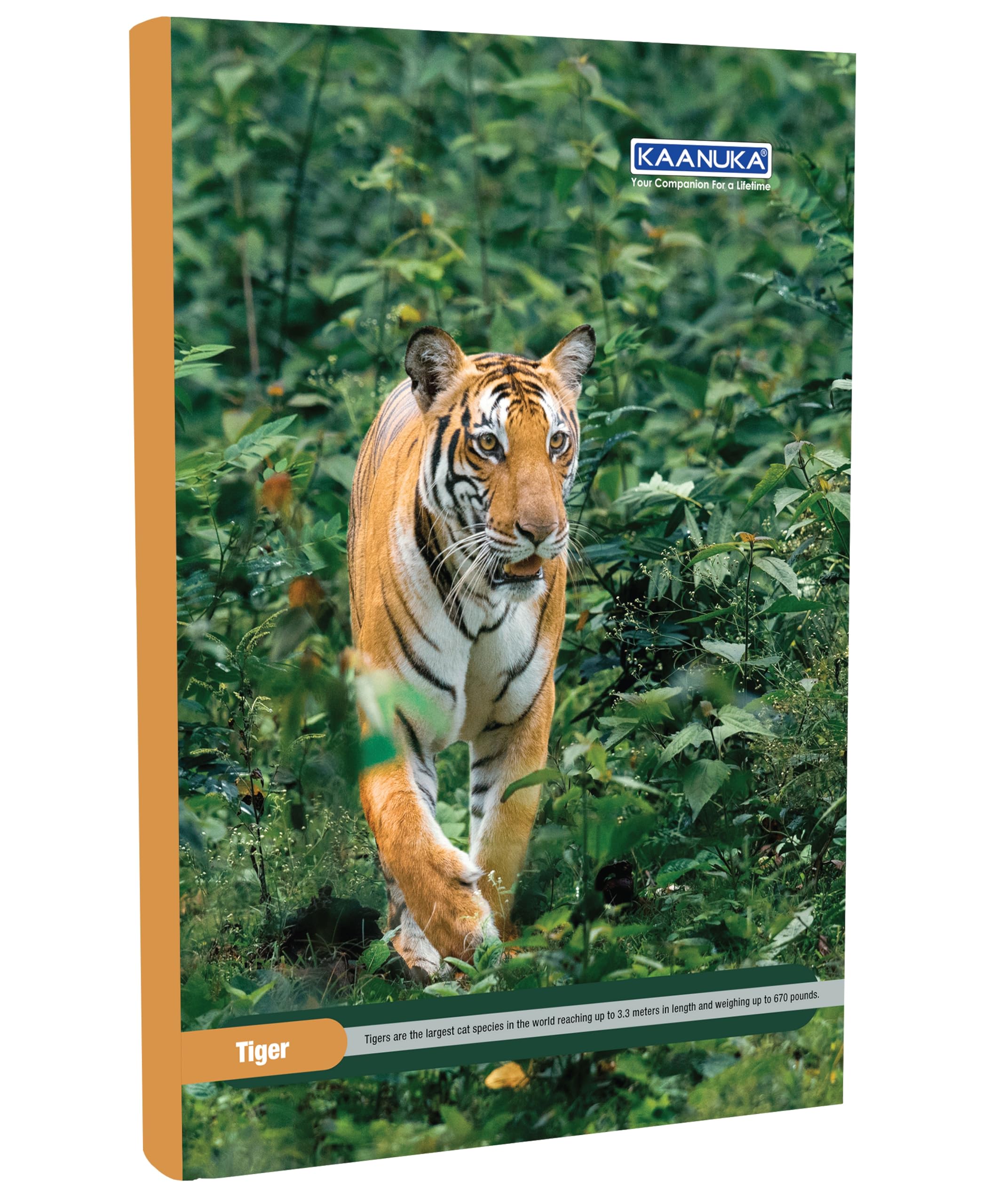 KAANUKA Cuaderno de tamaño largo, 172 páginas, rayado, una sola línea, A4-29,7 cm x 21,0 cm, paquete de 5 cuadernos, cuadernos de tamaño largo de una sola línea para estudiantes escolares y