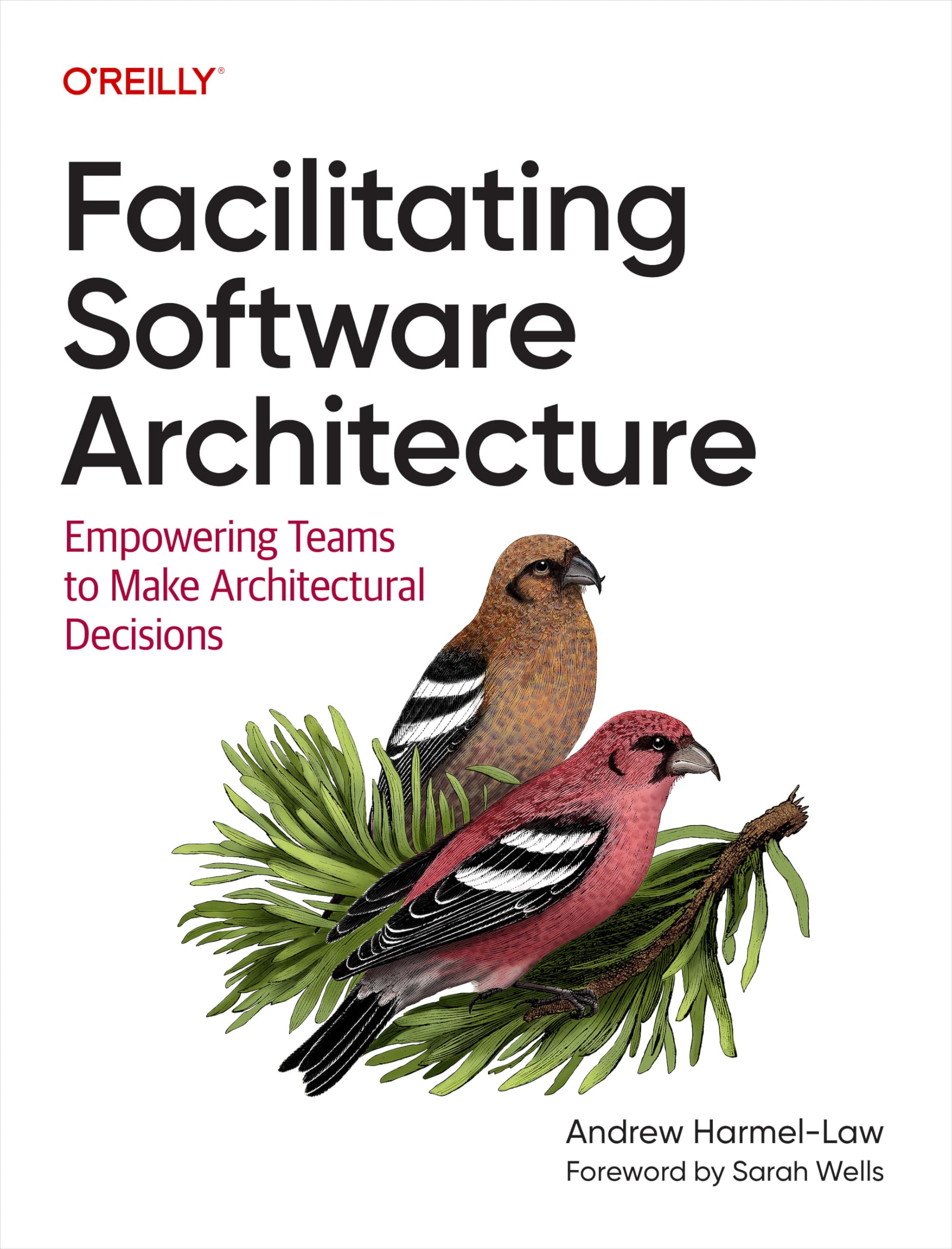 Facilitating Software Architecture: Empowering Teams to Make Architectural Decisions (English Edition)