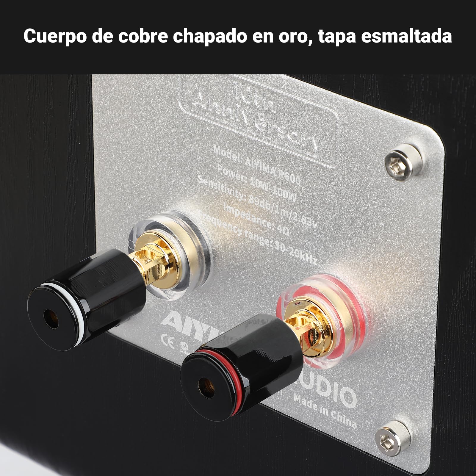 AIYIMA P600 Altavoces de Estantería Pasivos 6,5" 2 Vías, 30Hz-20kHz, 2x50W RMS,Woofer de Fibra de Carbono y Tweeter de Seda con Bocina, Diseño Inclinado 6°, HiFi para Amplificador Audio Hogar