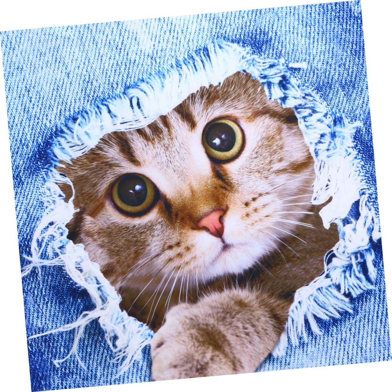 SOIMISS 2stücke Gedruckte Gepäckabdeckung Mit Katzendesign Elastische Reisekofferhülle Für Optimalen Schutz Und Individuelle Gestaltung Waschbar Und Installieren