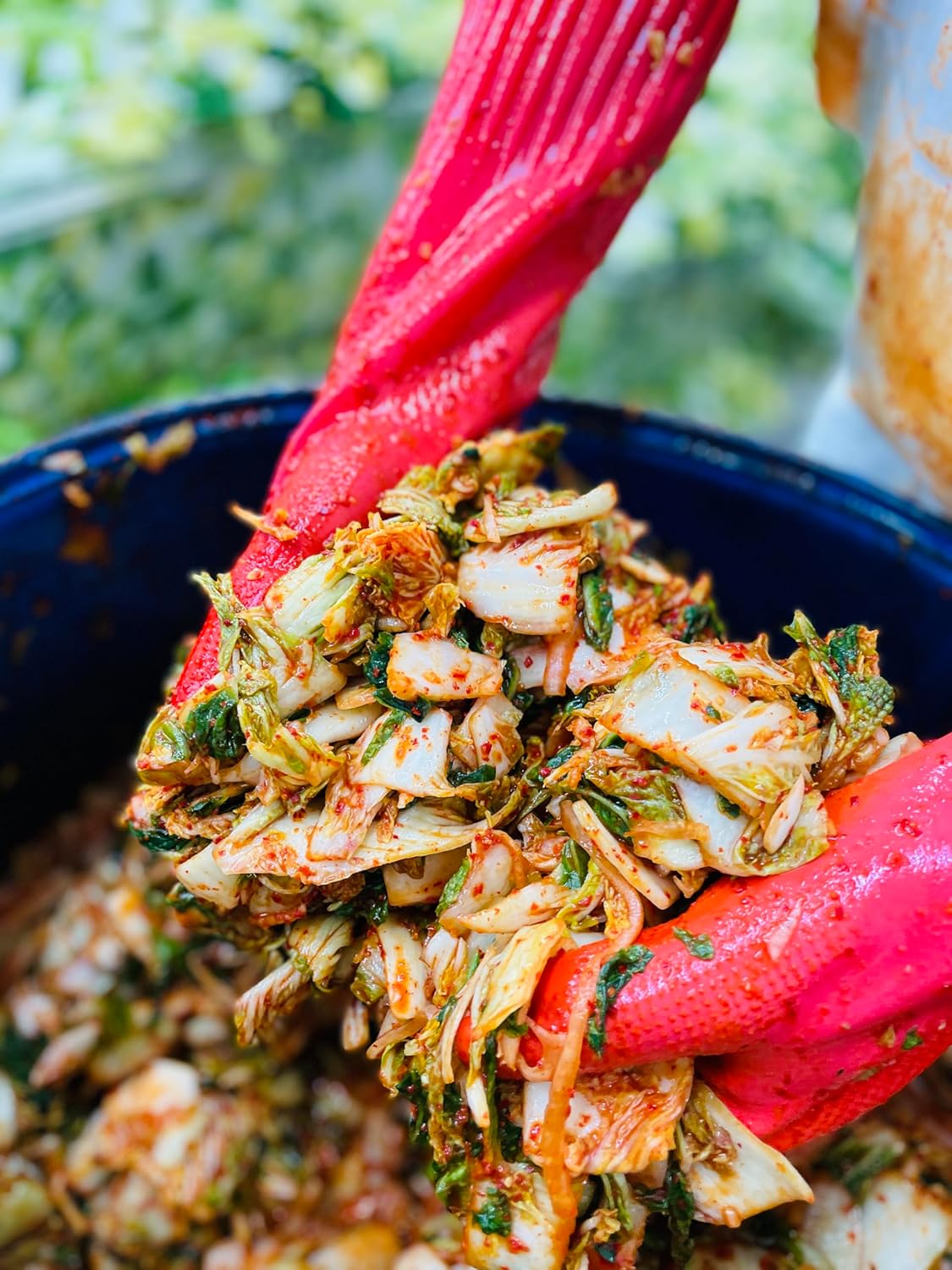 Sinto Gourmet Authentic Vegan Kimchi Variety 4 Pack | Spicy Napa, Mild Napa, Spicy Radish & Plenty Roots |Vegan Gluten Free, non-GMO, Probiotic, Naturally Fermented