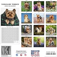 Vista 1380 de Razas de Perros 2017