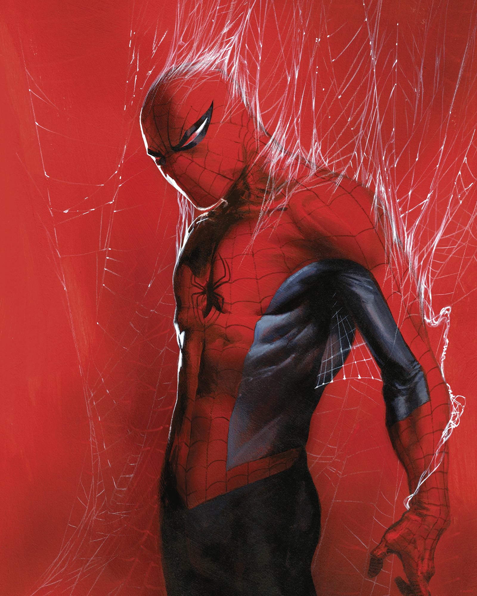 Komar Marvel Spider-Man Through the Spider Web - Size 40 x 50 cm - Nursery Wall Art