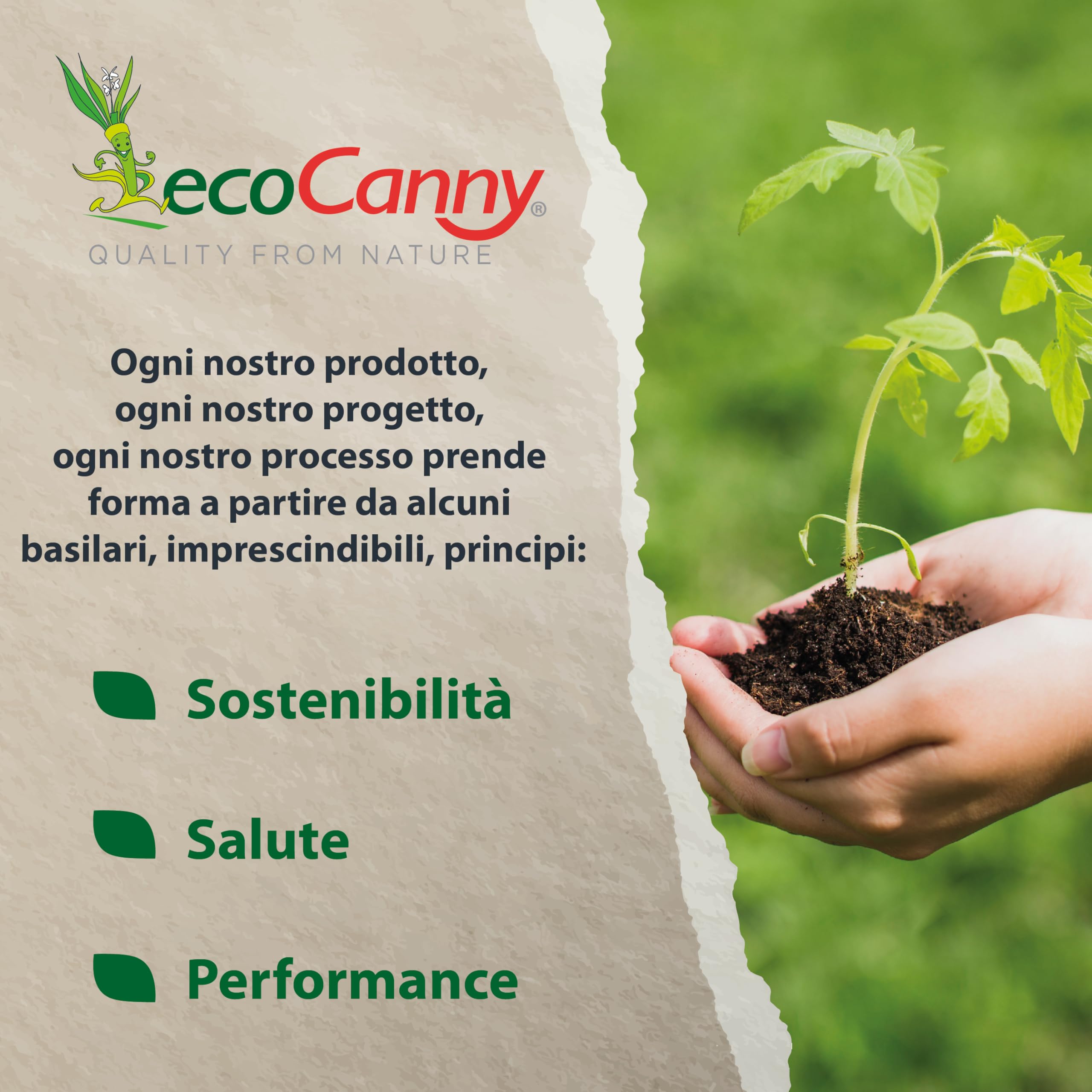 Ciotola Ecologica in Canna da Zucchero 205mm Biodegradabile Compostabile 25 Pezzi