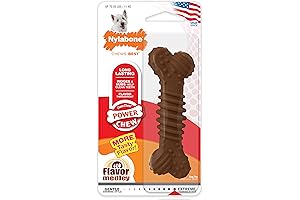 Nylabone Power Chew Textured Bone Chew Toy for Aggressive Small Dog Chewers