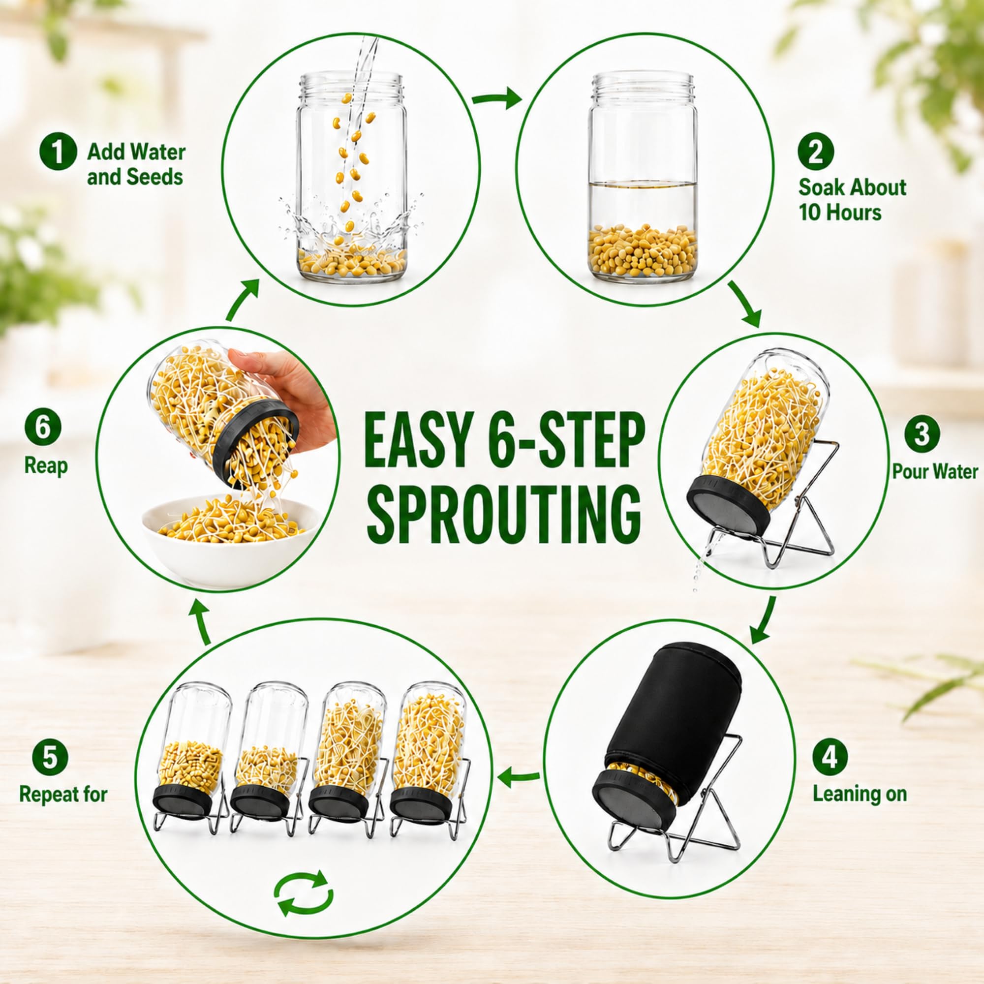 Lot de 2 pots de culture Sprouts de 947,2 g avec couvercles en acier