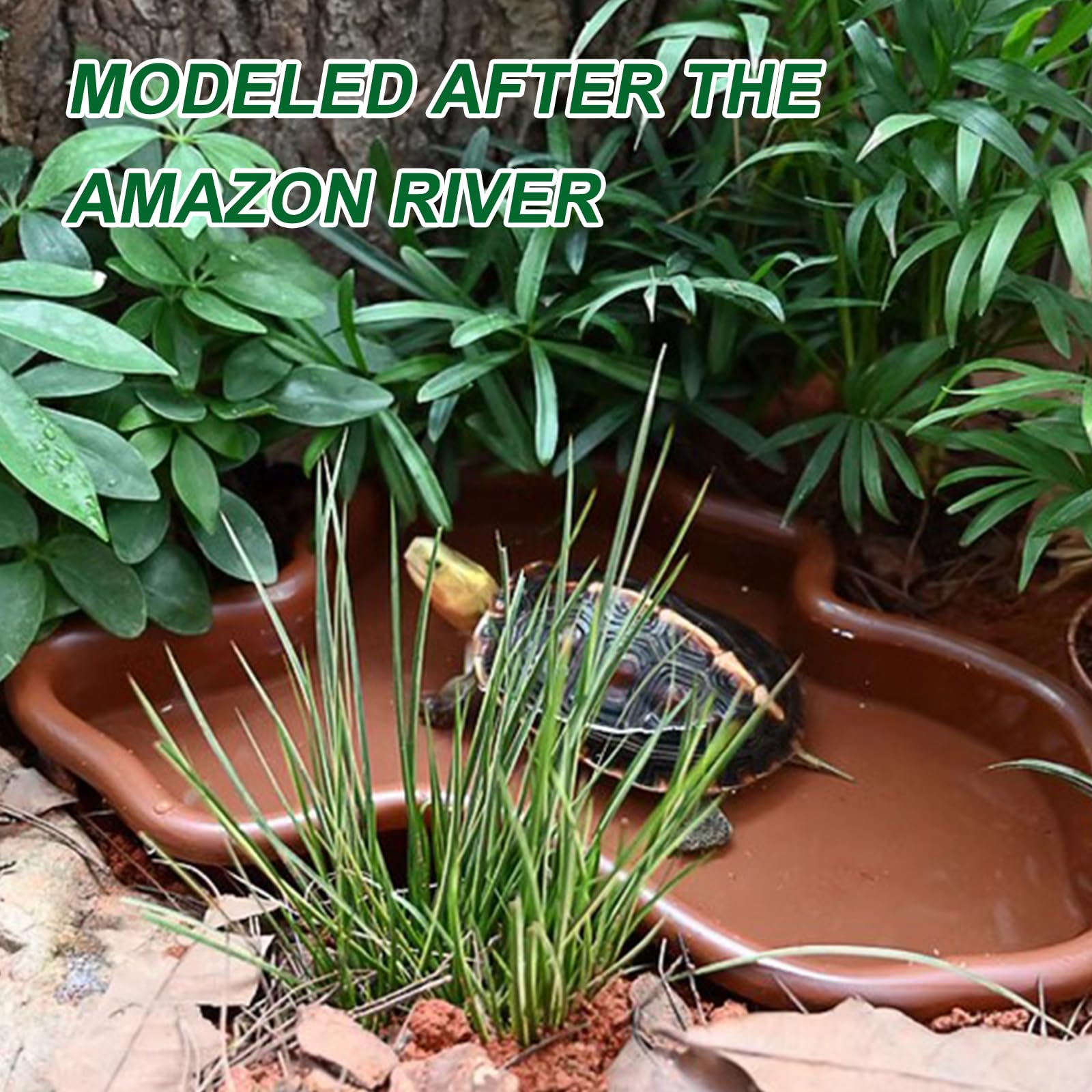 Reptilien Badebecken 31x25x5cm - Große Wasserschale Für Schildkröten & Echsen