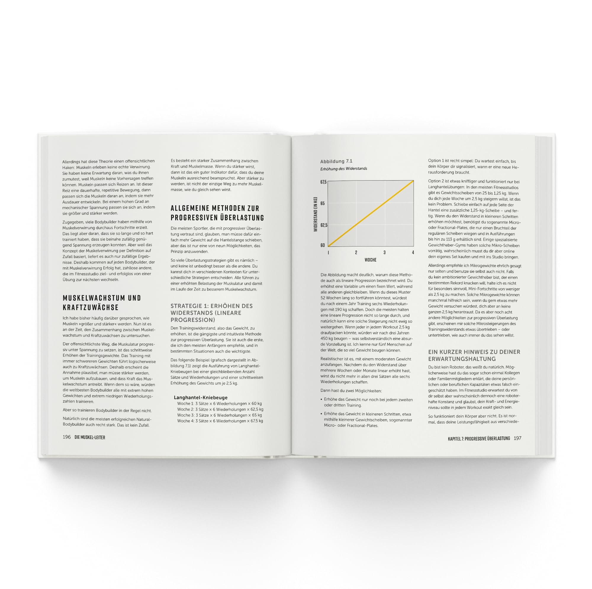 Die Muskel-Leiter: Dein 12-Schritte-Trainingsprogramm für einen starken, gesunden Körper. Internationaler Bestseller für Muskelaufbau, Fettabbau, ... und Krafttraining vom Top-Natural-Bodylifter