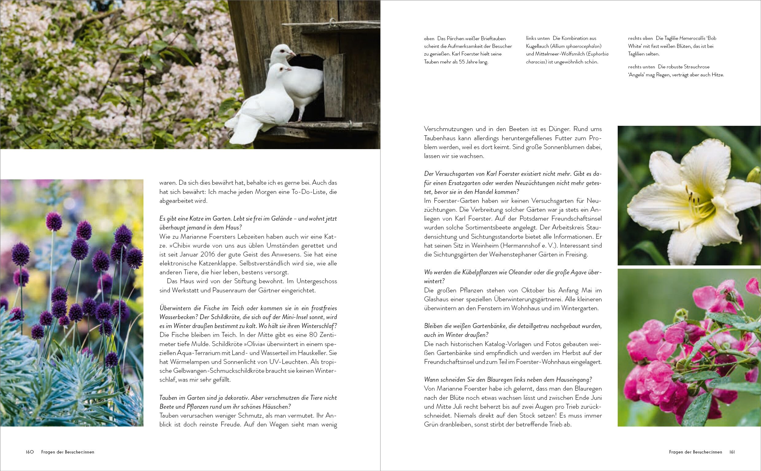 Der Garten meines Vaters Karl Foerster: Bornimer Gartentagebuch in sieben Jahreszeiten - Vollständig aktualisierte, erweiterte und neu fotografierte Ausgabe