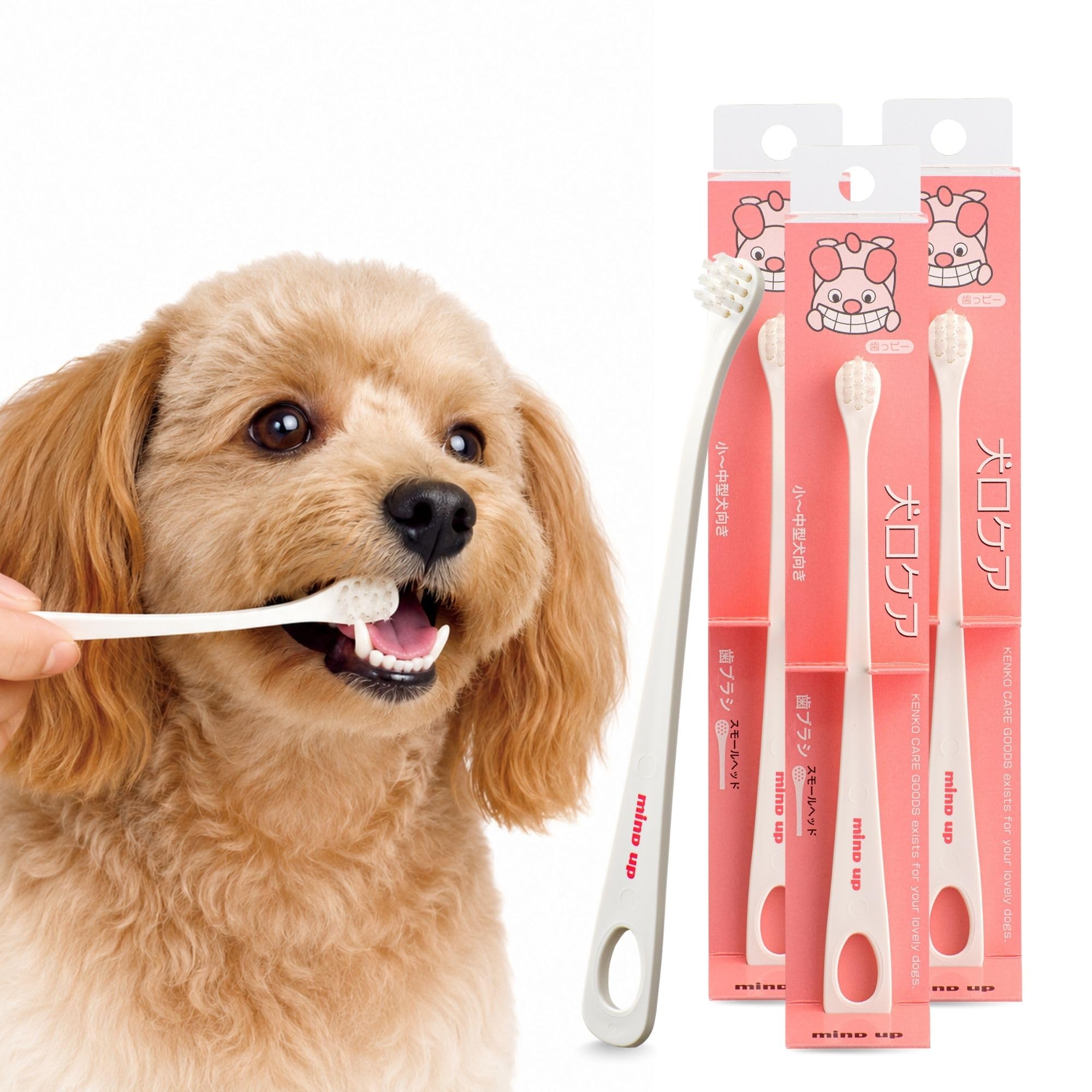 MIND UP 3 Pack Dog Toothbrush with 15° Angled Handle, Flat Head Design for Easy Brushing, Pet Toothbrush for Daily Dog Teeth Care, Made in Japan