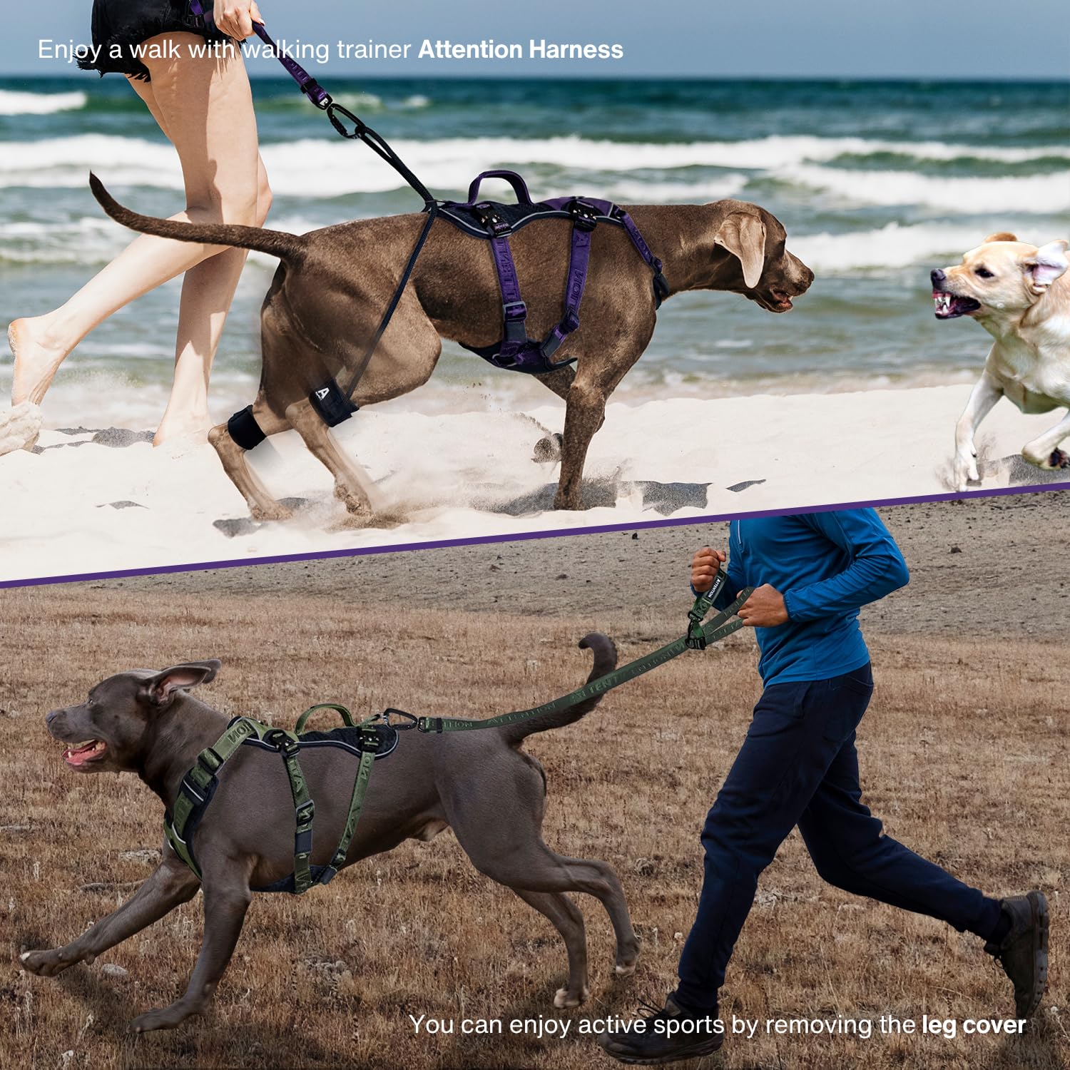 Easy Walk Hundegeschirr für große Hunde, strapazierfähig, taktisches Hundegeschirr mit Griff, einfache Kontrolle und Training, bessere Leinenmanieren (Moosgrün, Größe M)