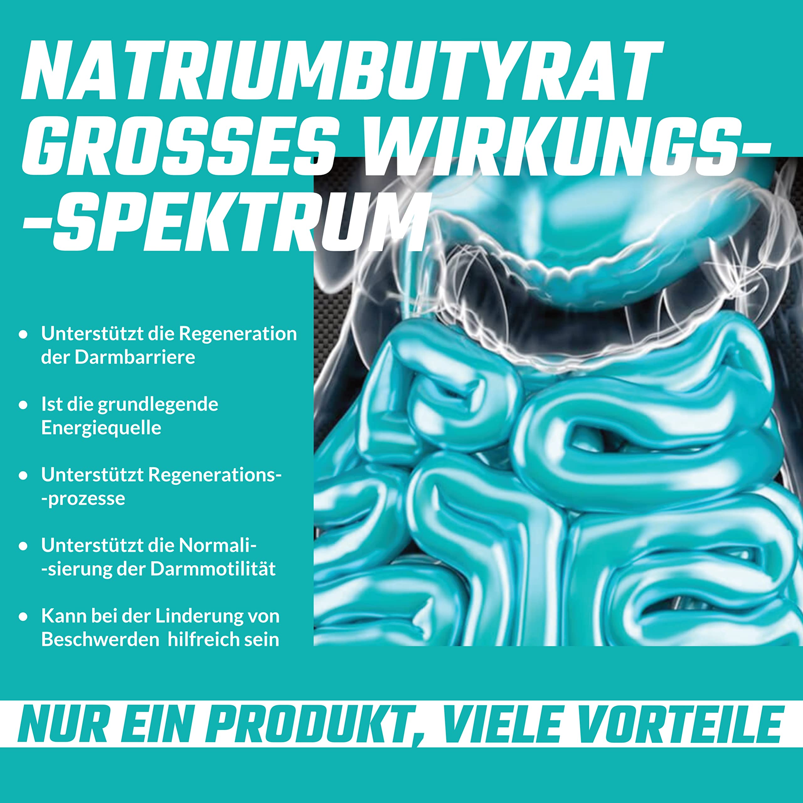 Sodio butirrato ad alto dosaggio 570 mg (30% di acido butirrico), 240 capsule vegane, fornitura di 8 mesi, integratore per sostenere la rigenerazione della barriera intestinale - Apollo's Hegemony