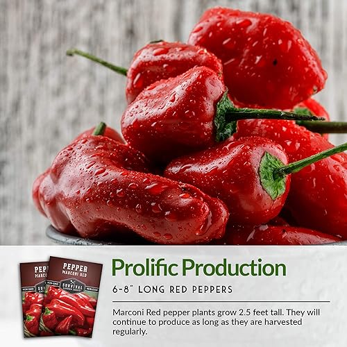 Miniatura 6 de Survival Garden Seeds - Semilla de pimiento rojo Marconi para plantar - Paquete con instrucciones para plantar y cultivar pimientos italianos dulces