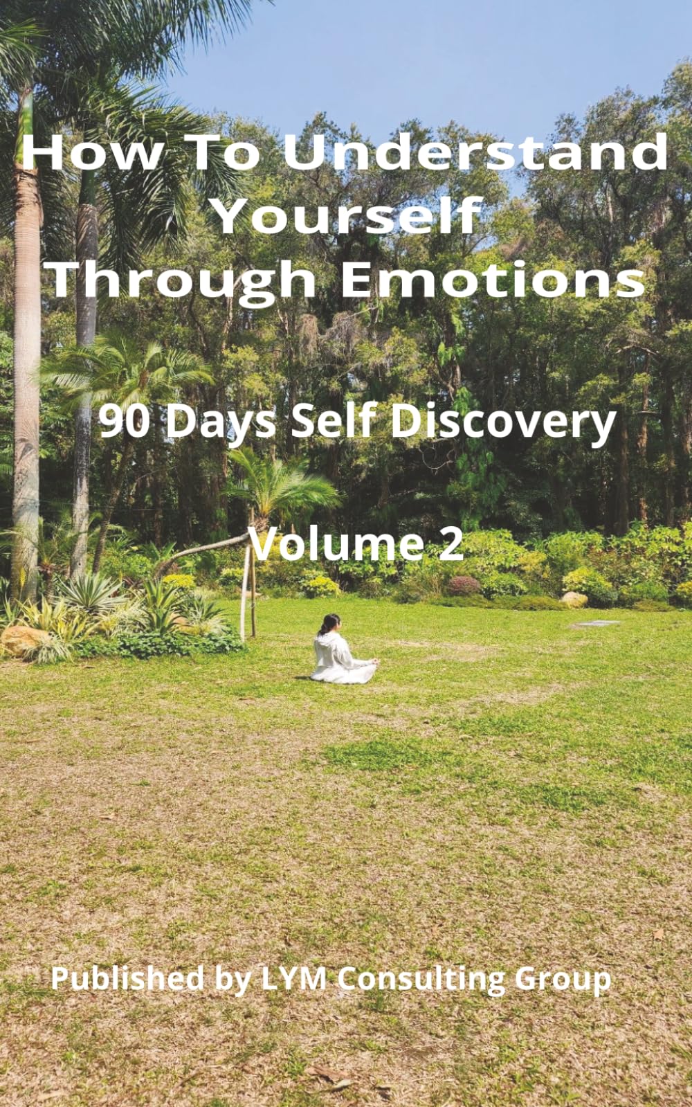 How To Understand Yourself Through Emotions (Volume 2): 90 Days Self Discovery