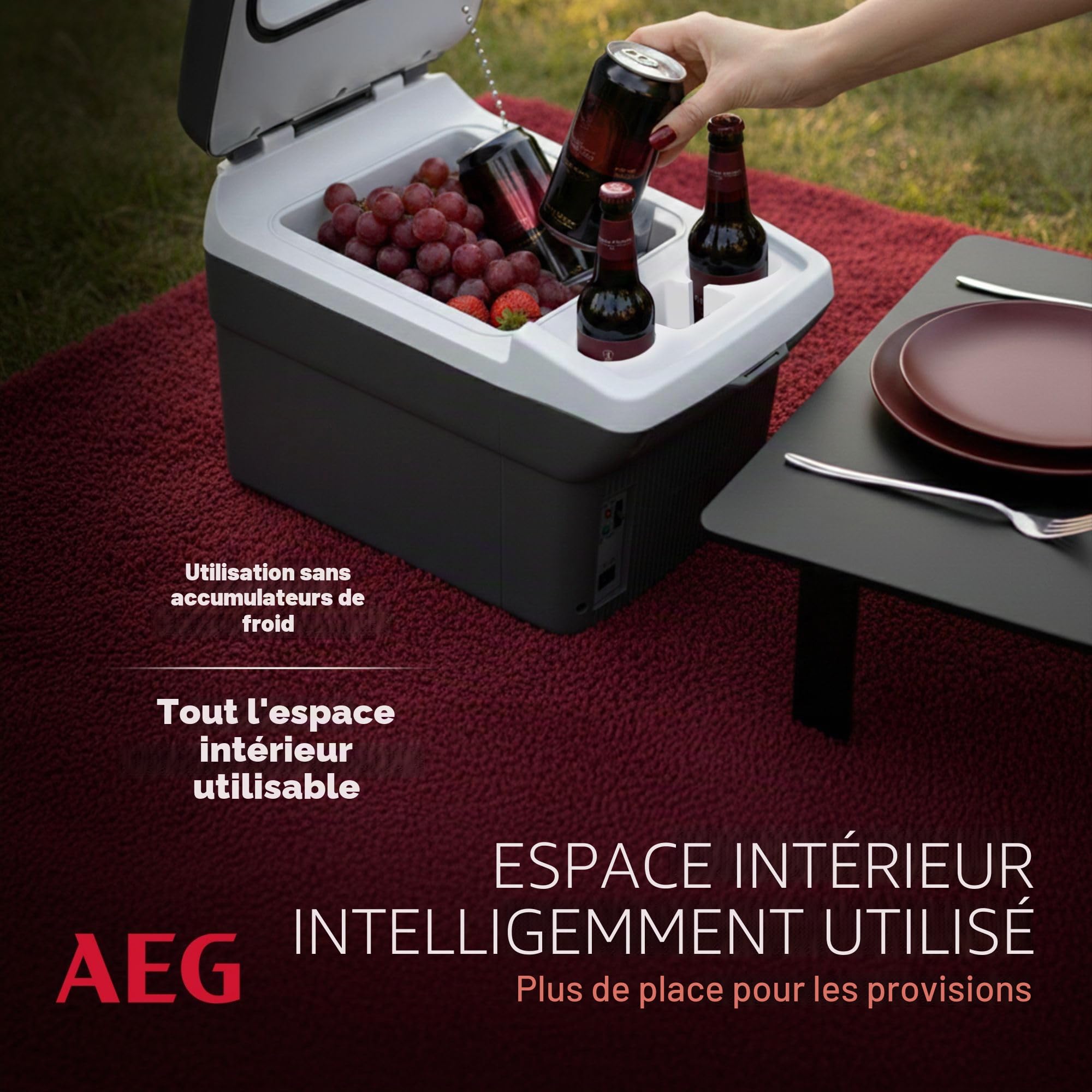 AEG Automotive Board-Bar BK 16 Glacière thermoélectrique et chauffante 16 litres, 12 volts pour voiture et prise, peut être fixée à la voiture, argent