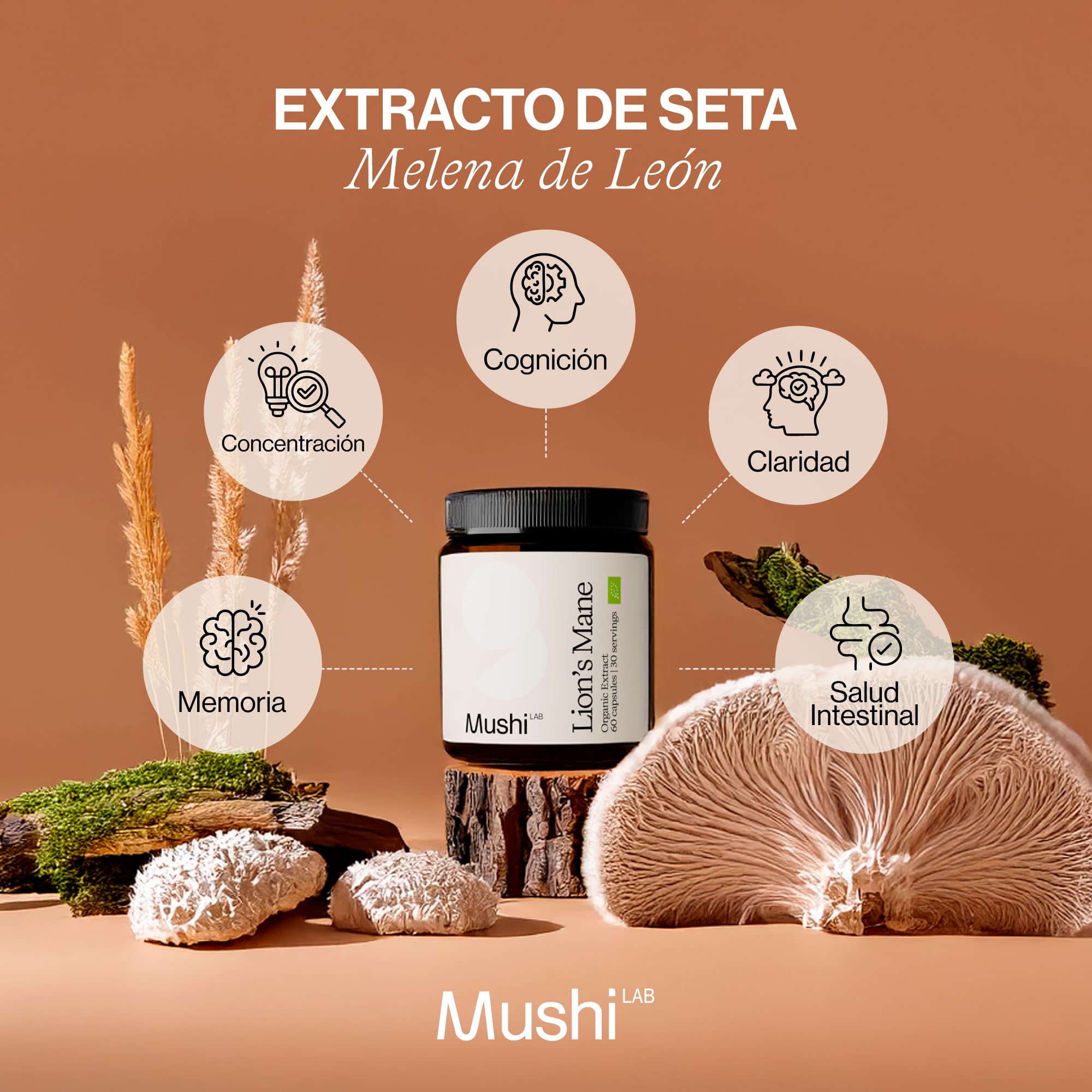 Melena de Leon Mushi LAB | Extracto Orgánico Puro de Melena de León 8000mg | Potencia Memoria, Concentración y Salud Intestinal | Sin Aditivos | Lions Mane | Vegano | Fabricado en Alemania