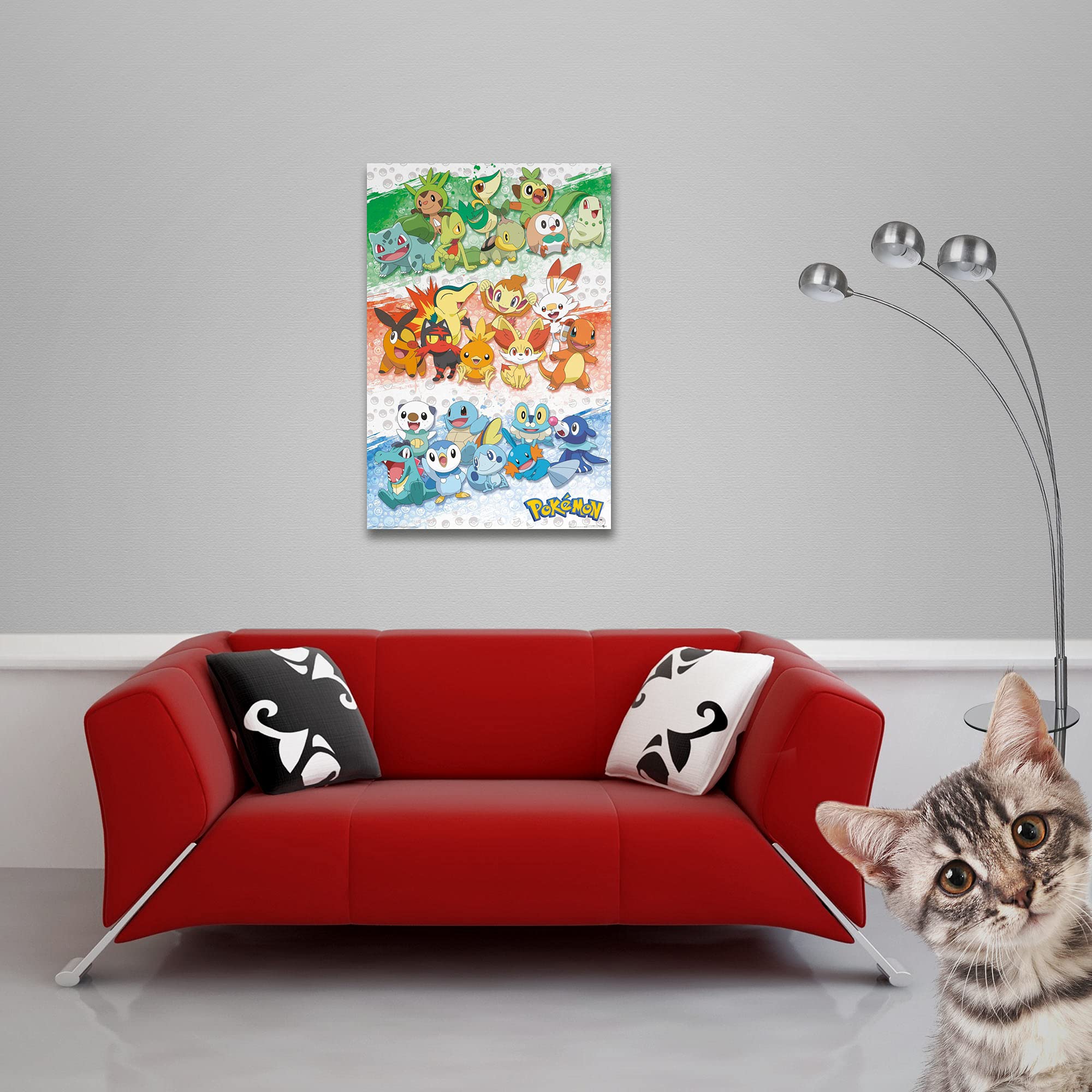 Empire Interactive - Poster serie TV Pokemon, dimensioni 61 x 91,5 cm + cornice intercambiabile, Shinsuke® Maxi MDF nero, disco acrilico