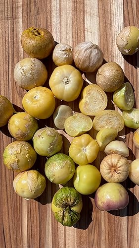 Miniatura 9 de Semillas de tomate morado, paquete de 50 unidades, orgánicas certificadas, sin OMG, polinización abierta, sin tratar para plantar, de Estados Unidos