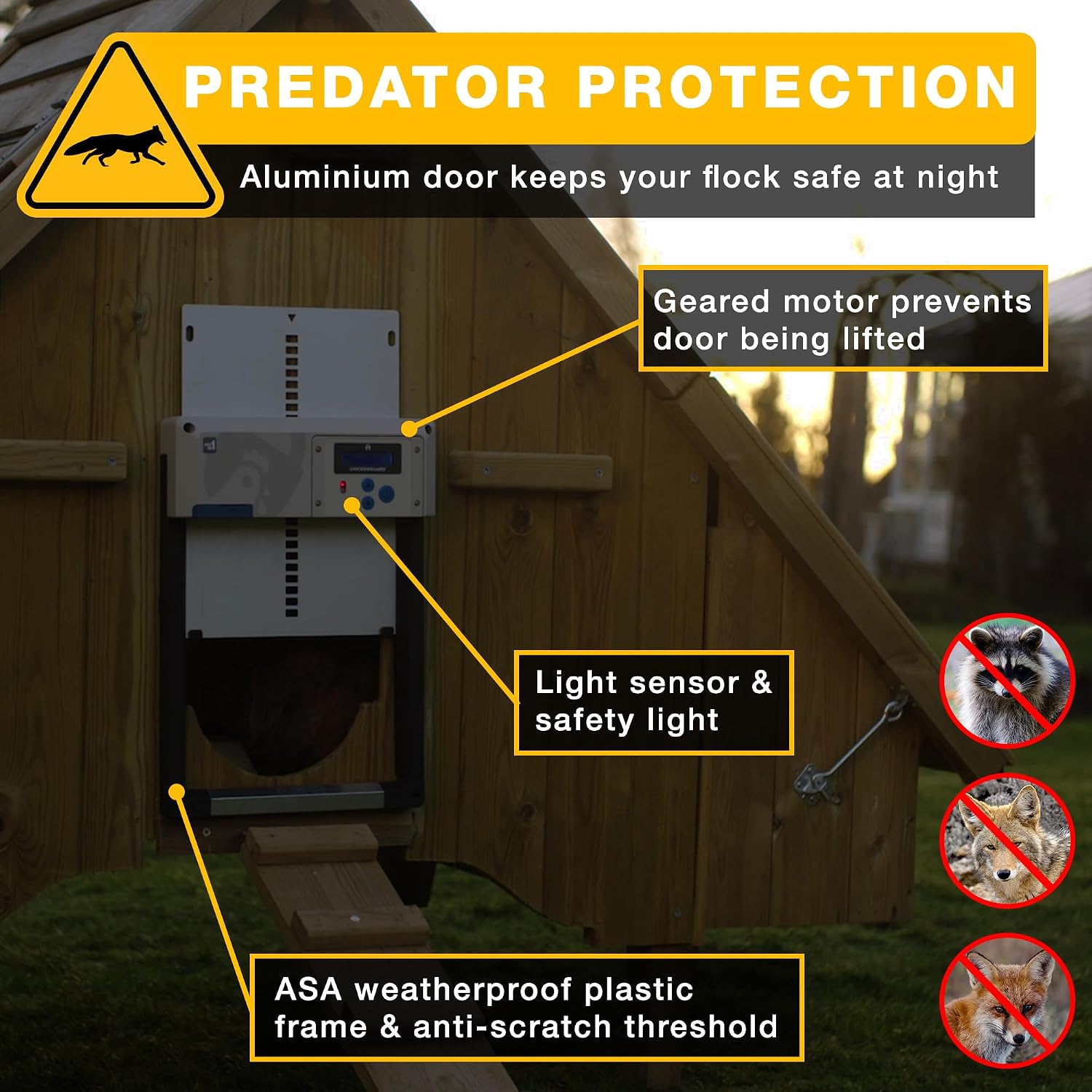ChickenGuard door installed on a coop, highlighting predator protection features like aluminum door, geared motor, and weatherproof plastic frame.