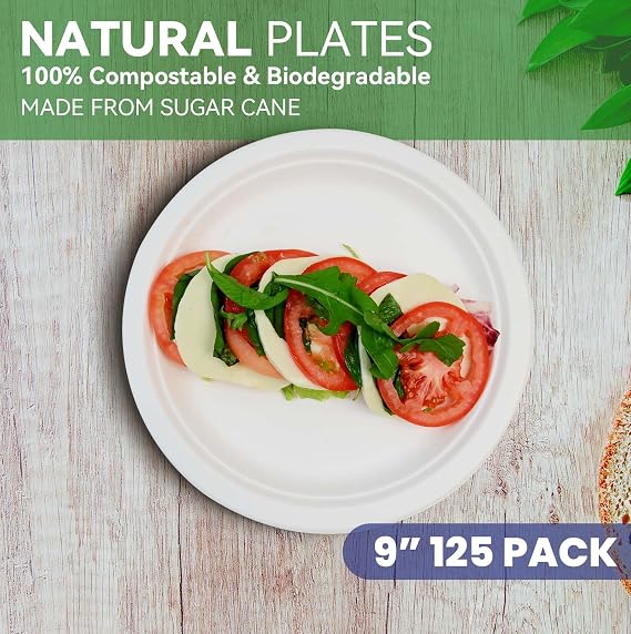GreFusion 9 Inch Strong Paper Plates [125 Pack] Heavy Duty Disposable Plates Sugarcane Eco-Friendly White Party Plates