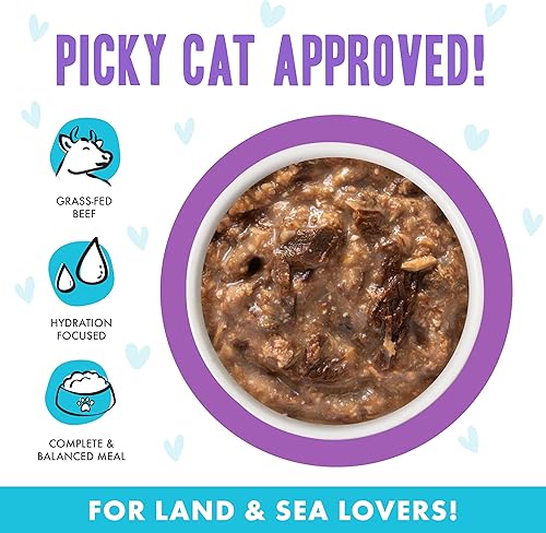 Vista 3 de Weruva B.F.F. OMG - Best Feline Friend Oh My Gravy!, Booya! - Alimento para gatos con carne de res y pollo en salsa, bolsa de 2.8 onzas