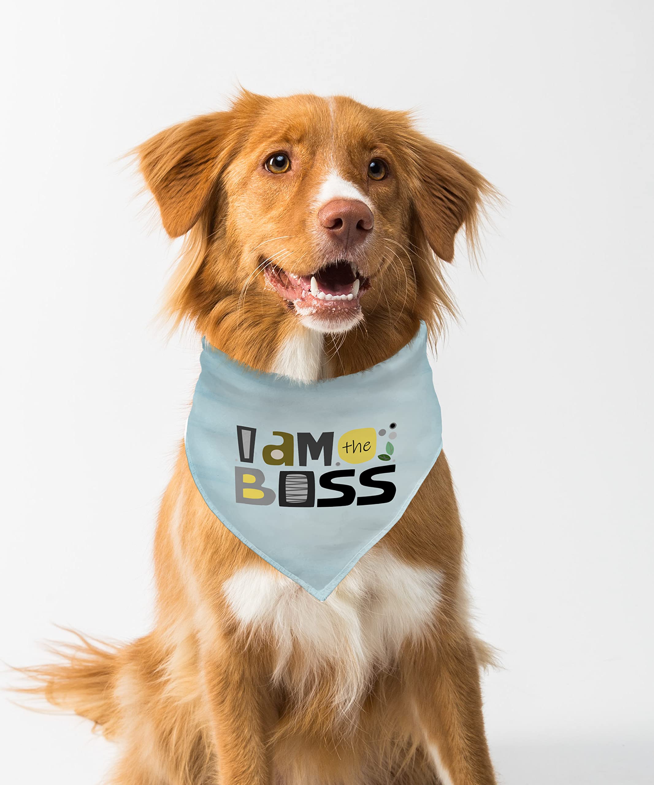 Farnup Adjustable & Comfortable Dog Bandana,I am The boss, Graphic Printed Bandana for Dogs | Dog Scarf, Accessory | Gifts for Dogs-S/M (B0BVHG754K) Amazon Price History, Amazon Price Tracker