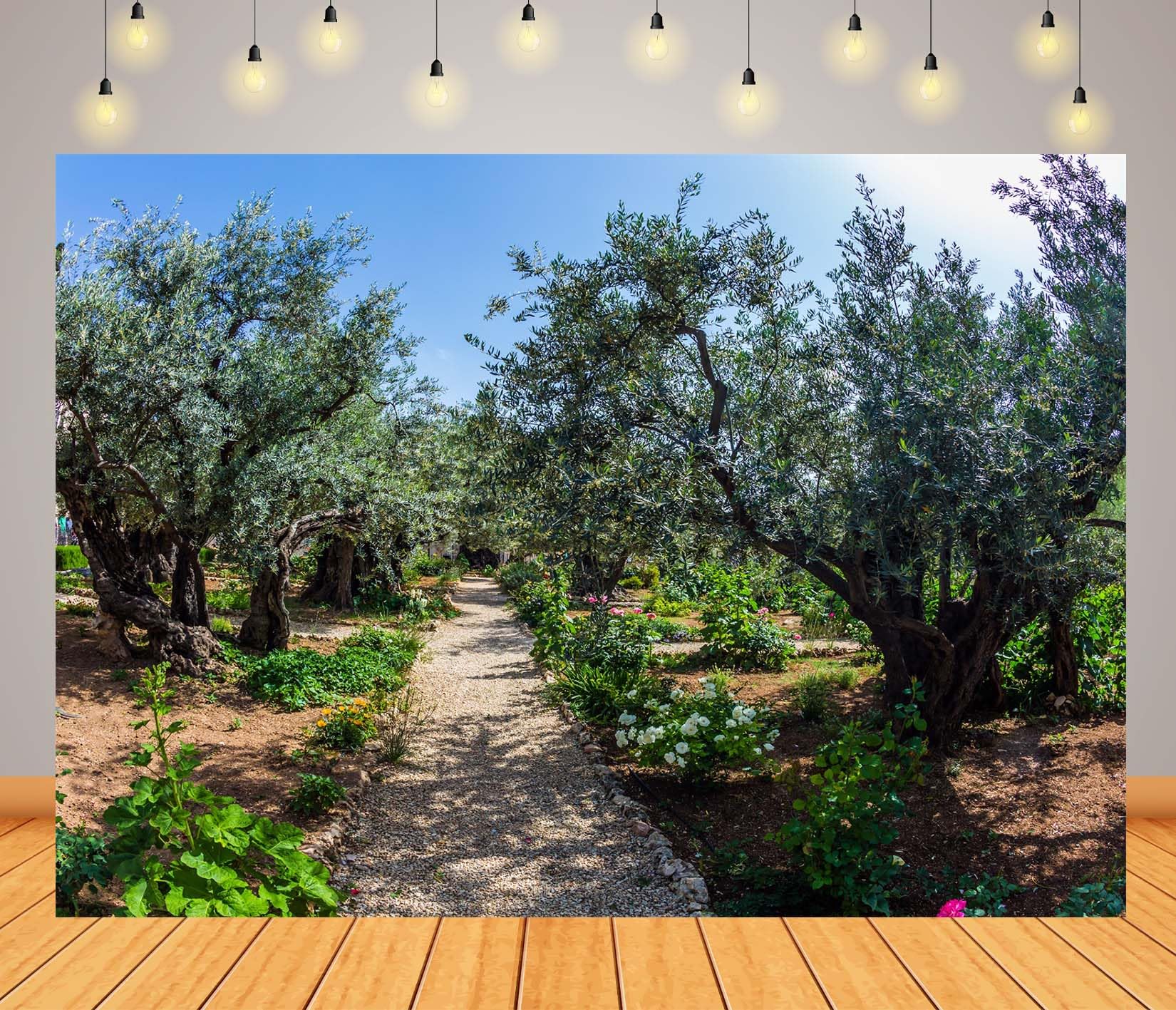 BELECO 6x3m Telo sfondo giardino di Getsemani | Paesaggio Gerusalemme ulivi antichi sfondo decorazione festa biblica banner accessori fotografia Israele