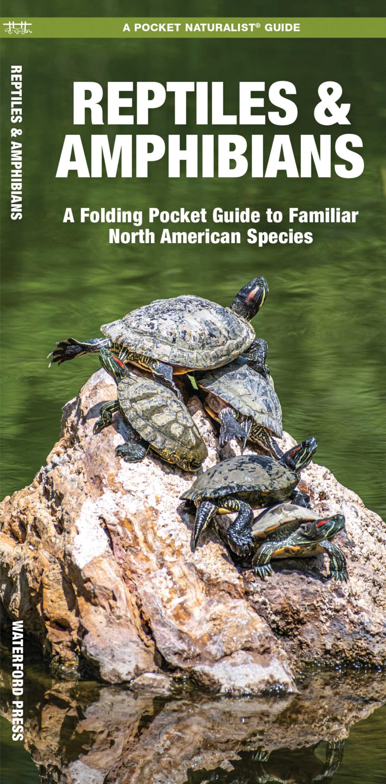 Reptiles & Amphibians (Nature Observation North America)