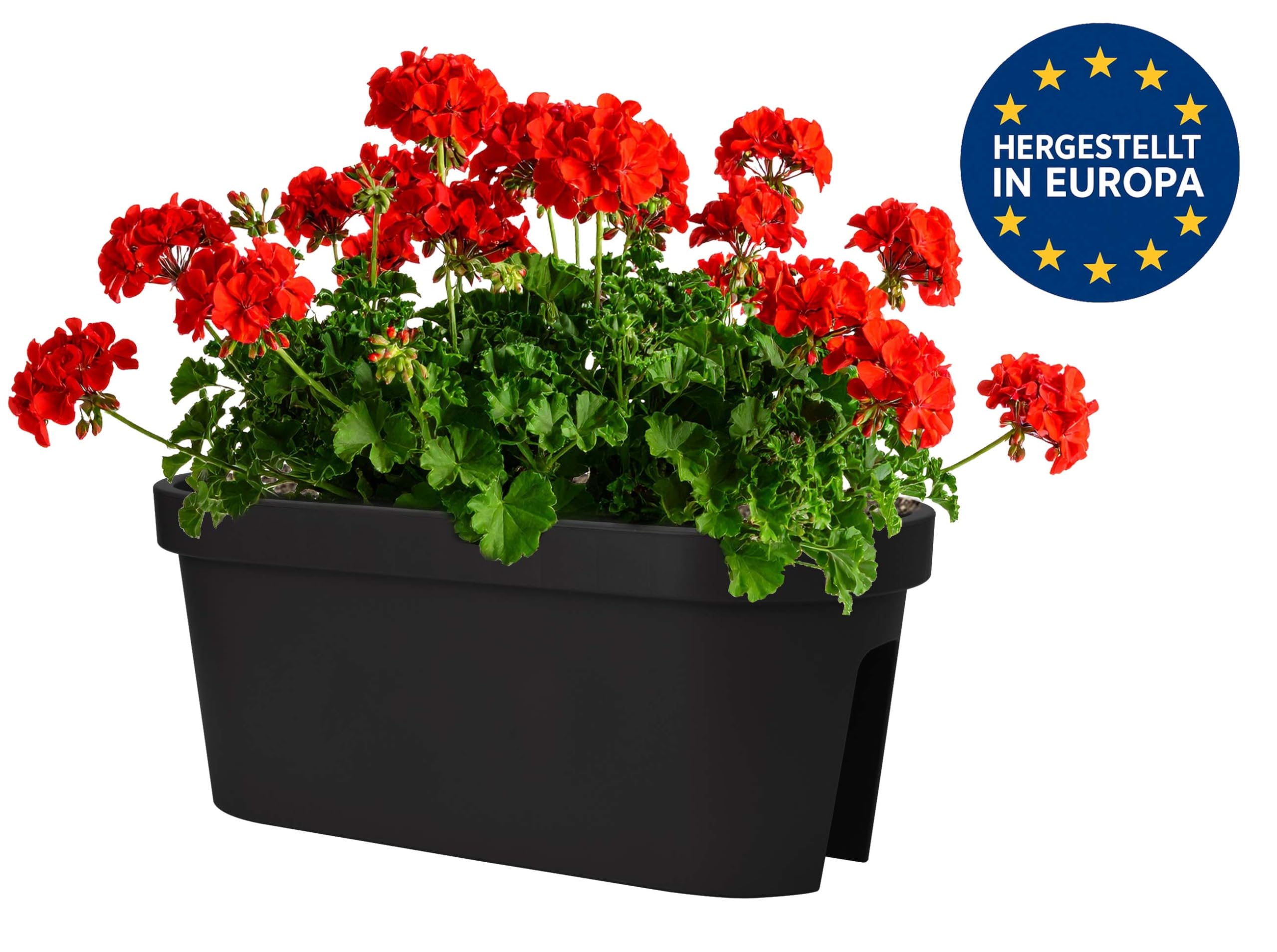 Balkonkasten für Geländer in Anthrazit Blumenkasten Blumentopf Pflanztopf Blumenkübel Geländertopf (60 x 26 cm)