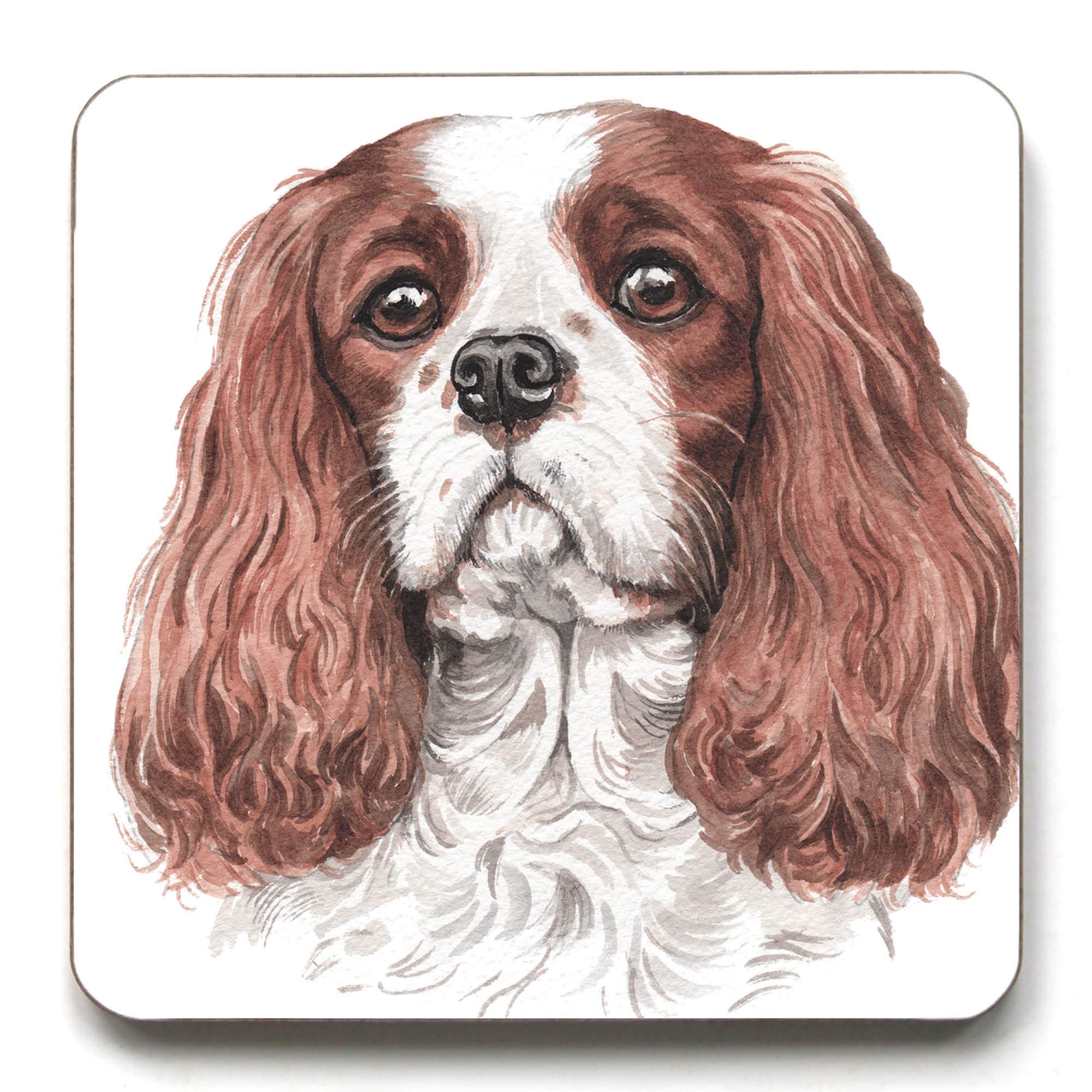 Waggydogz White Cavalier King Charles Spaniel (Tan & ) Coaster (Cst 181)