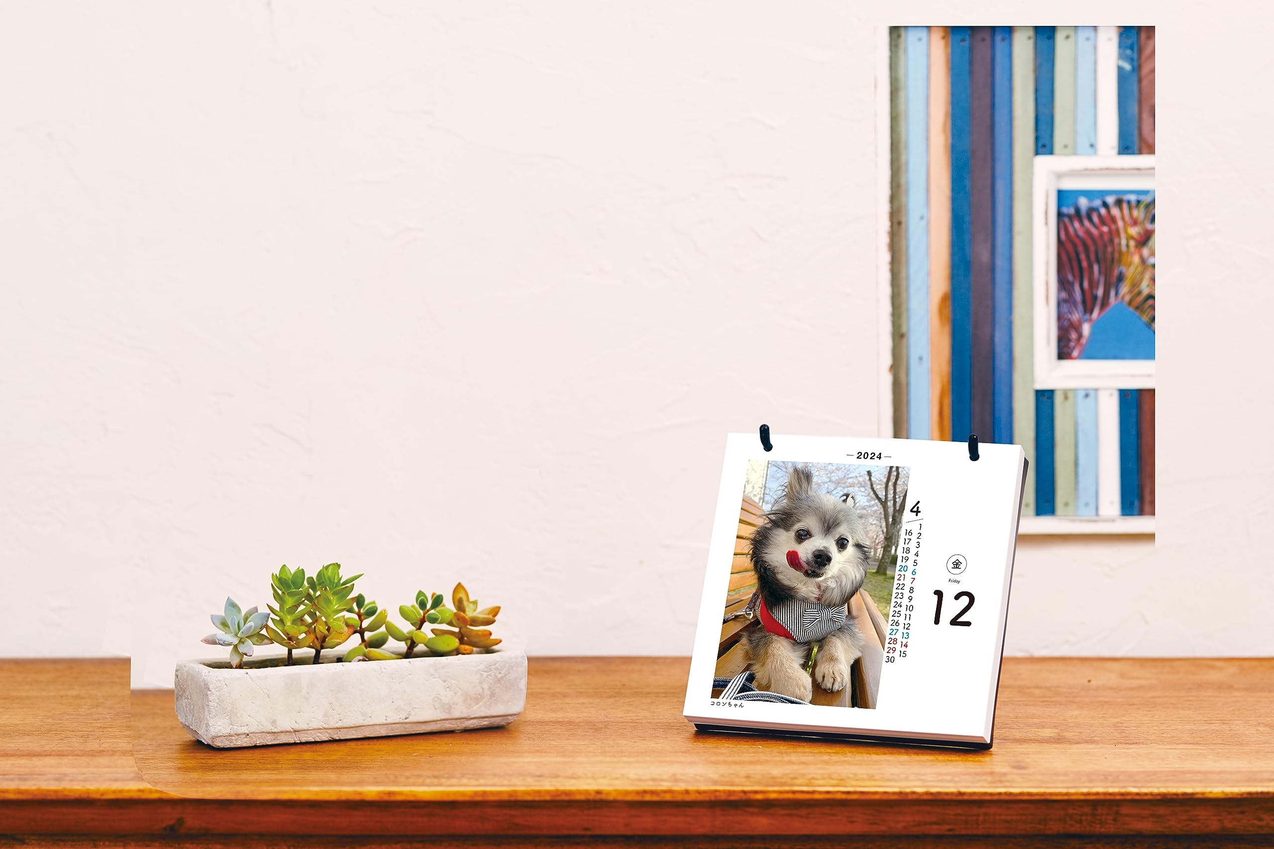 Amazon.co.jp: 日めくりワンコ！2024年(卓上日めくりカレンダー犬版