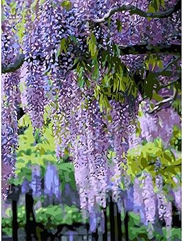 油絵 絵画【藤】 Amazon | 美しい藤の花、フレームなし、40X50cm アクセサリーのフル