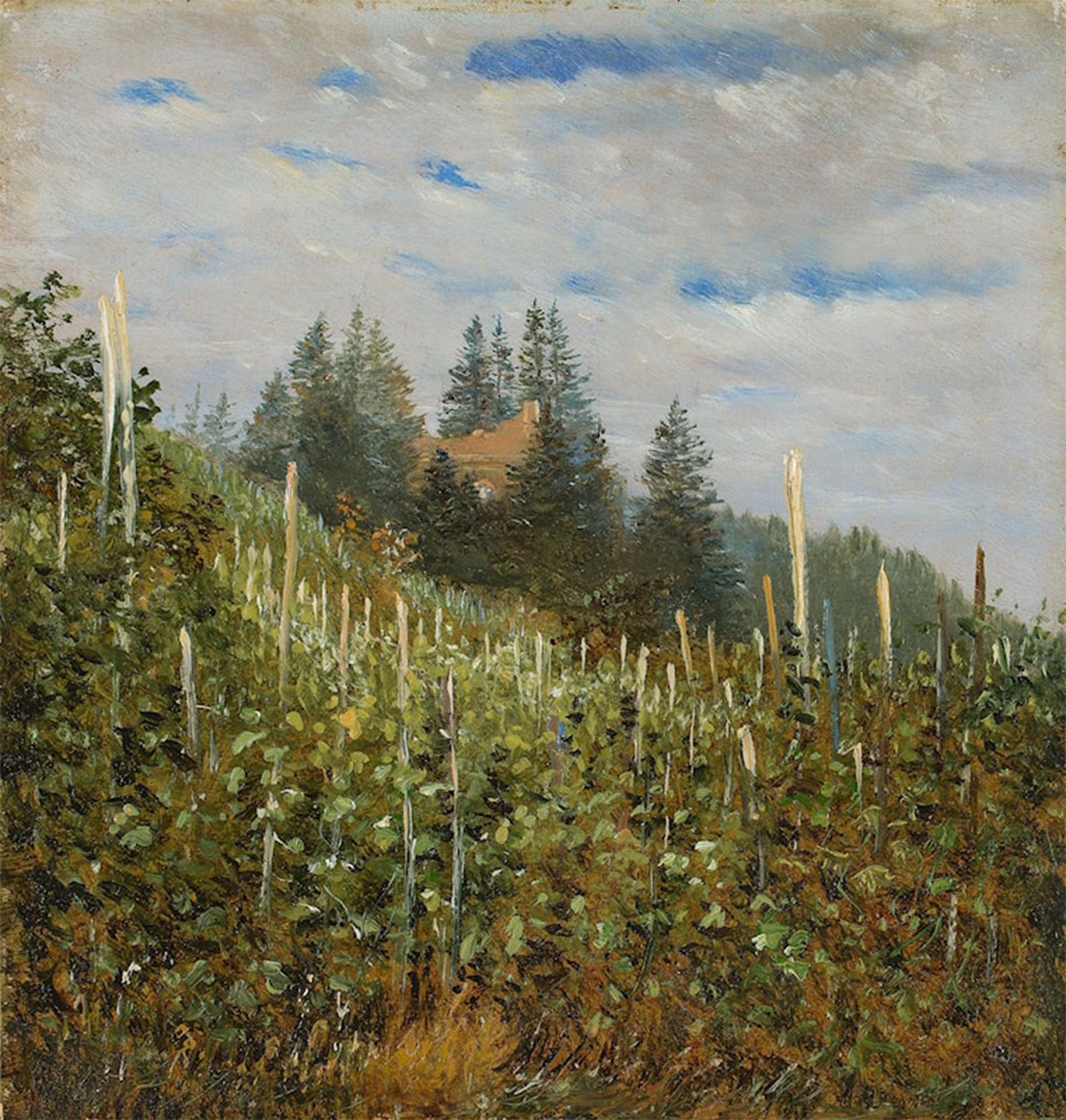 SERENDIPITP Vintage Picture Print on Canvas Wall Art Poster Vinyard in Pillnitz in Early Summer by Carl Gustav Carus Artwork Print Poster for Wall Decor 60x90cm