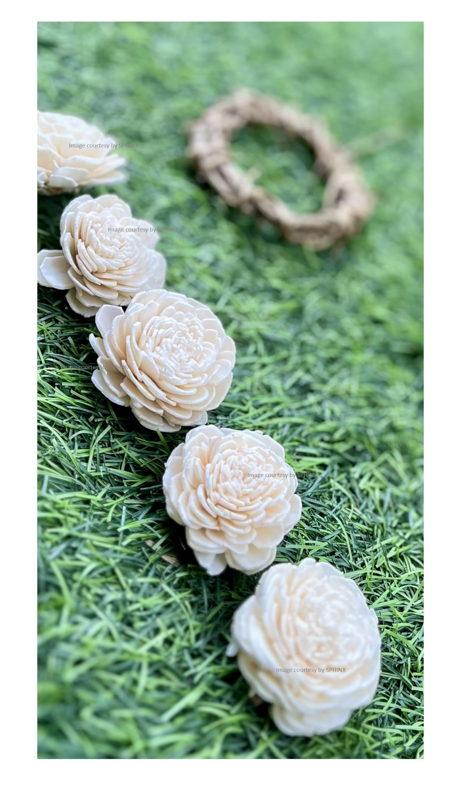 SPHINX Sola Wood Paper Bailey Flowers, D-I-Y Art and Crafts, Garland Making Festive Pooja Wedding Housewarming Christmas Decorations (Diameter Approx 4 cms - 20 Pieces, White/Natural Off-White)