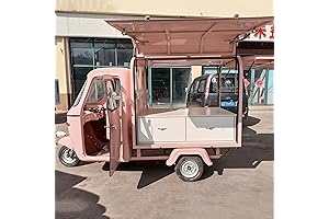 OEM Customized Food Truck Cart with Electric power & Full Equipment, Converted...