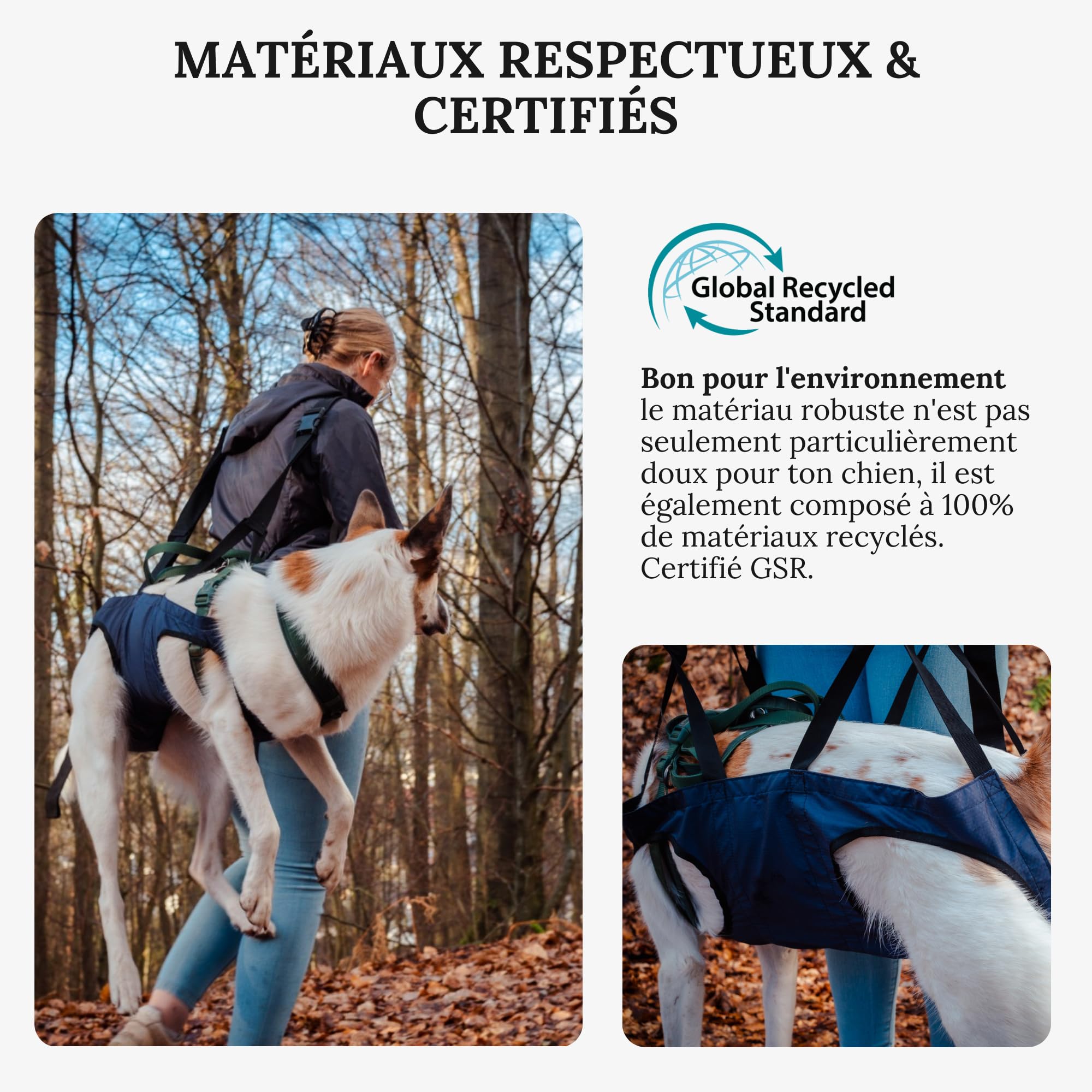 Aide au transport pour chien - Sac à dos d'urgence lors de randonnées ou sac de transport pour chien au quotidien dans les escaliers - Petit, léger, robuste, de qualité supérieure