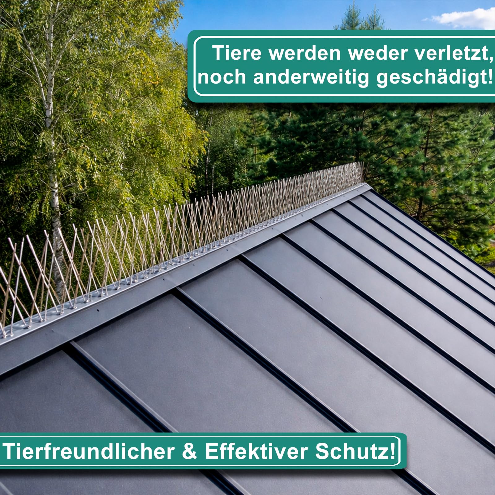 PRIOstahl Taubenabwehr Vogelabwehr 5-reihig 10 Meter (10 x 100cm) vormontierte & einsatzbereite Spikes inkl. Kabelbinder Profi Vogelschreck für Tauben & kleine Vögel wetterbeständig aus Edelstahl V2A