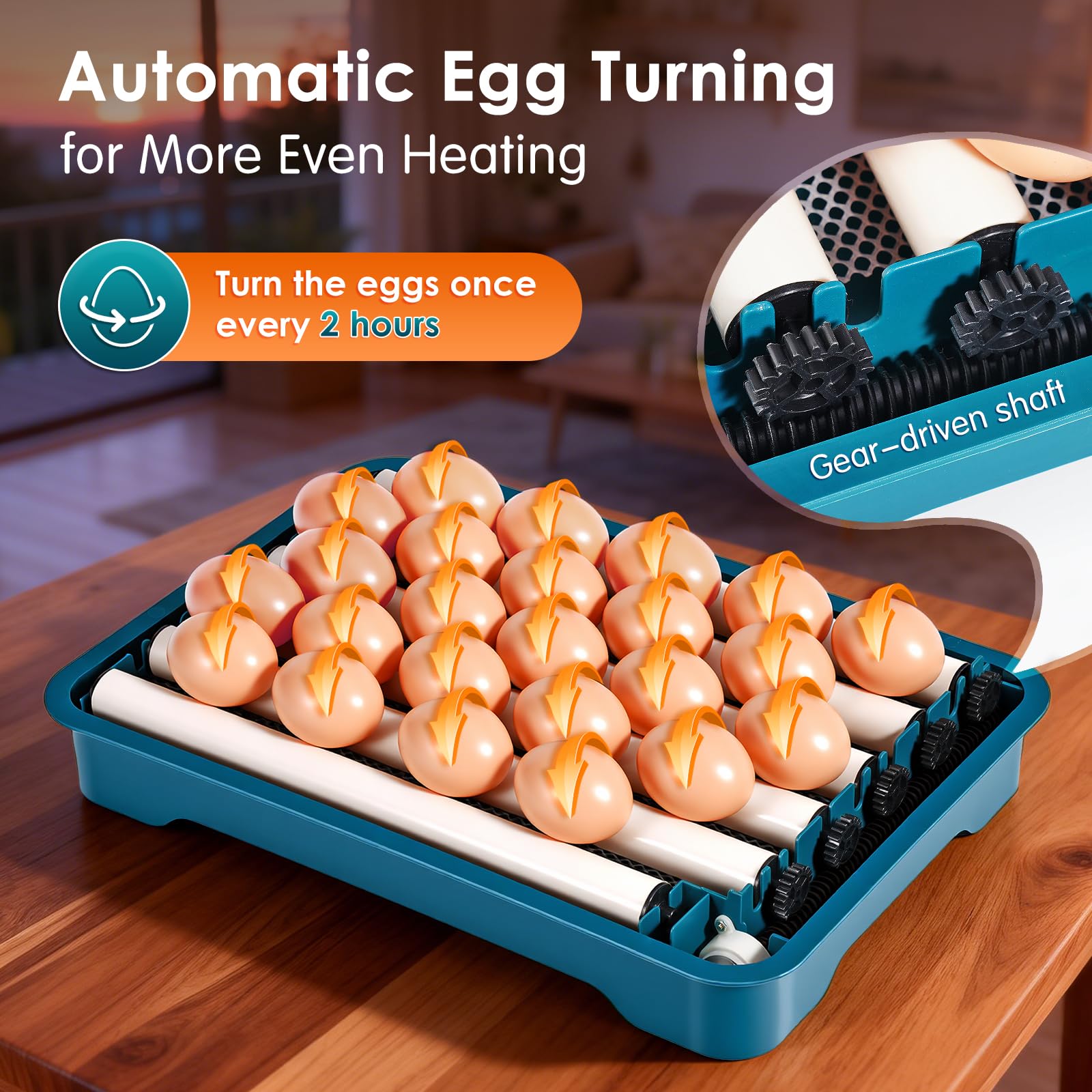 Incubadoras para incubar huevos, incubadora de 24 huevos con volteo automático y control de temperatura, llenado automático de agua, diseño de ventilación para gallinas, codornices y huevos de aves