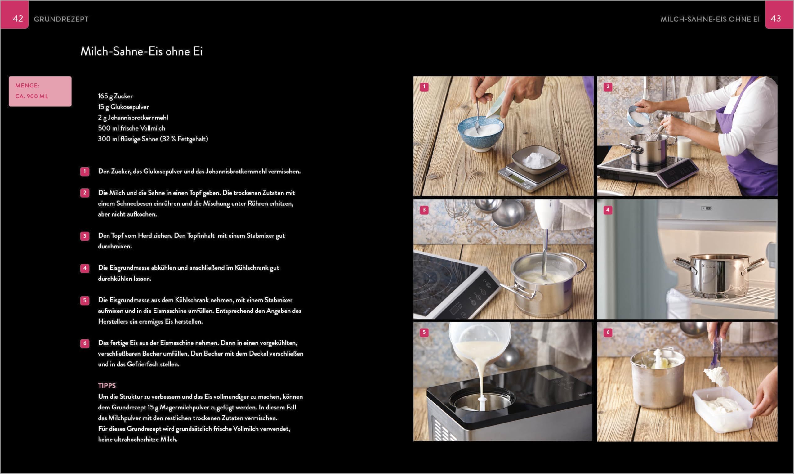 Die Eis Bibel. Eis, Sorbets, Parfaits, Frozen Desserts. 100 kreative Eis-Rezepte für die Eismaschine