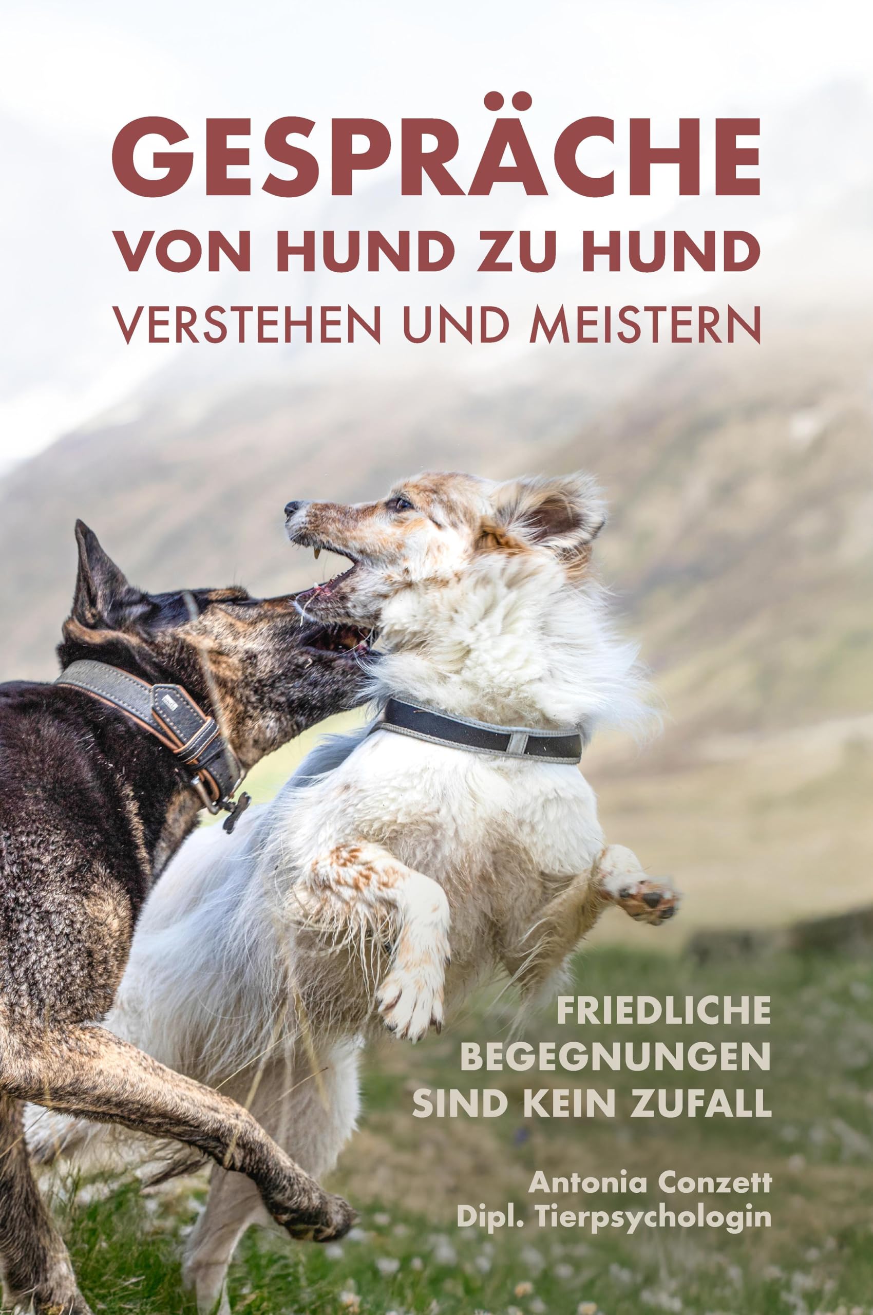 Gespräche von Hund zu Hund verstehen und meistern: Friedliche Begegnungen sind kein Zufall