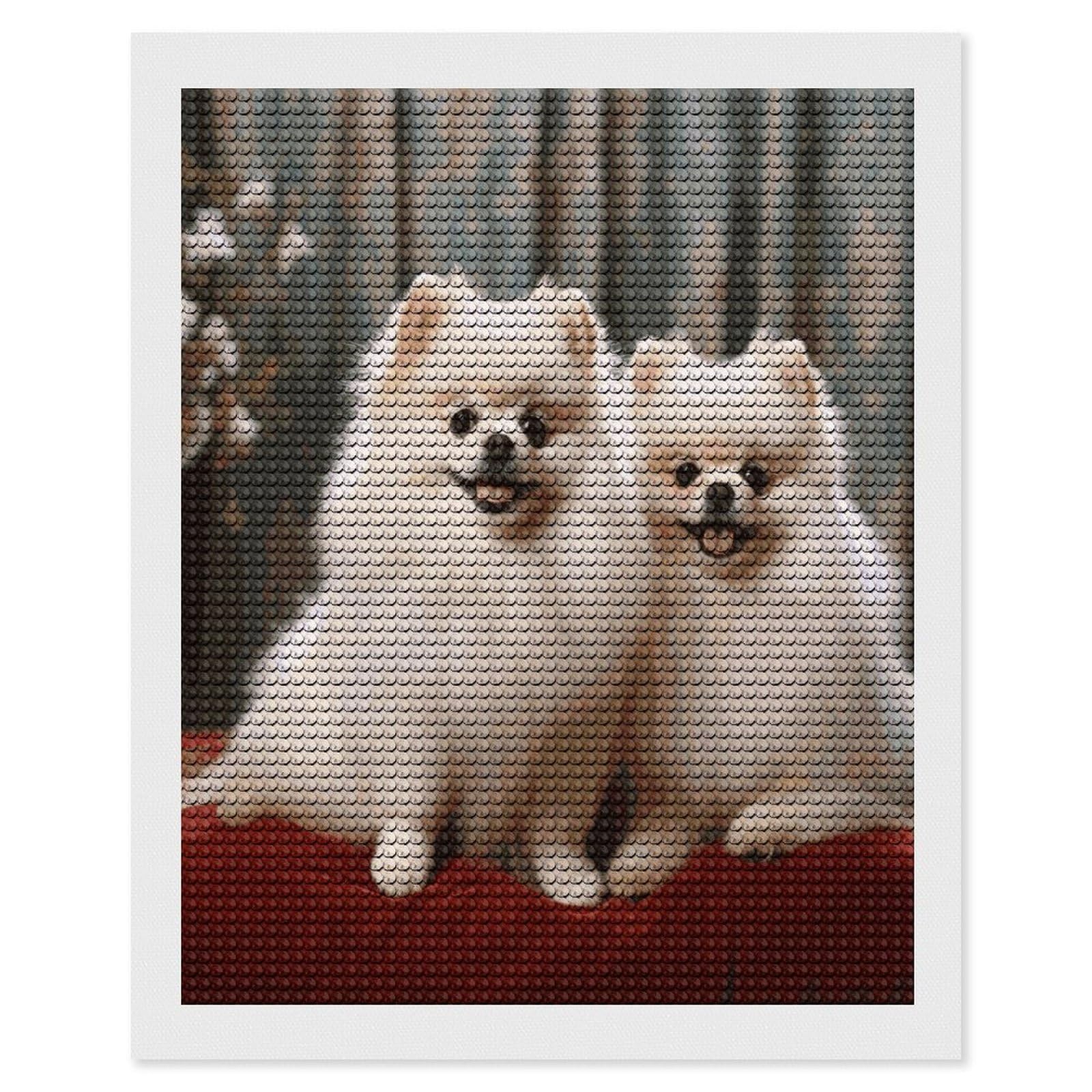 VstaDank Short-haired Pomeranian Dog Diamond Painting Kits Exquisite DIY Full Round Drill Diamond Dots Painting for Adults Beginner Diamond Photo Paint with Diamond Picture Art Wall Decor 16"x20"