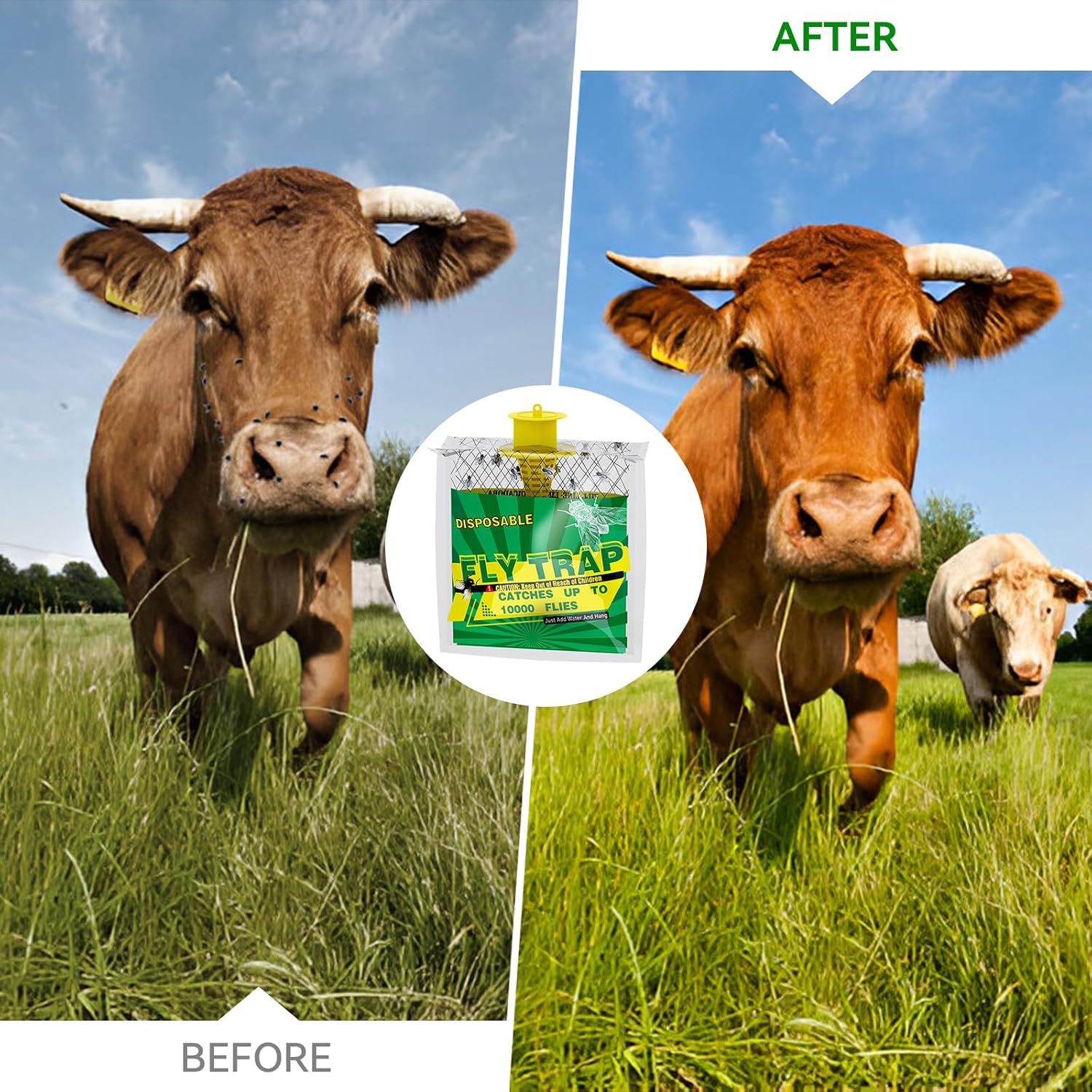 ◆正規品◆フライトラップ 4個パック ハンギングフライトラップ アウトドアホーム 使い捨てフライキャッチャーアウトドア プレミアムフライベイト◆追跡あり◆