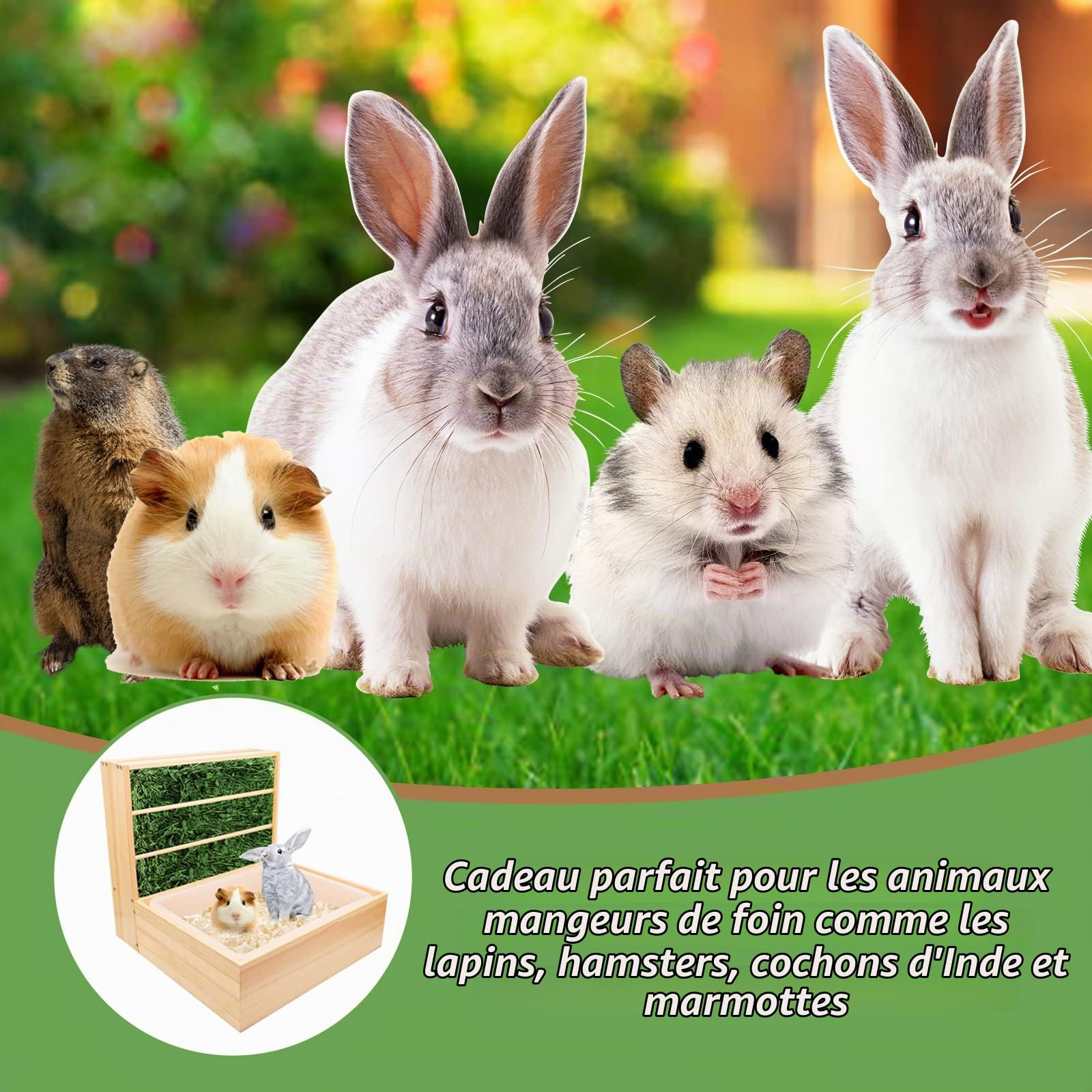 Râtelier à Foin en Bois Mangeoire à Foin en Bois pour Cochon d'Inde 2 en 1 Ratelier Lapin avec Bac à Litière en Plastique Amovible Support à Nourriture en Herbe pour Petits Animaux 43 * 13.5 * 31.5cm