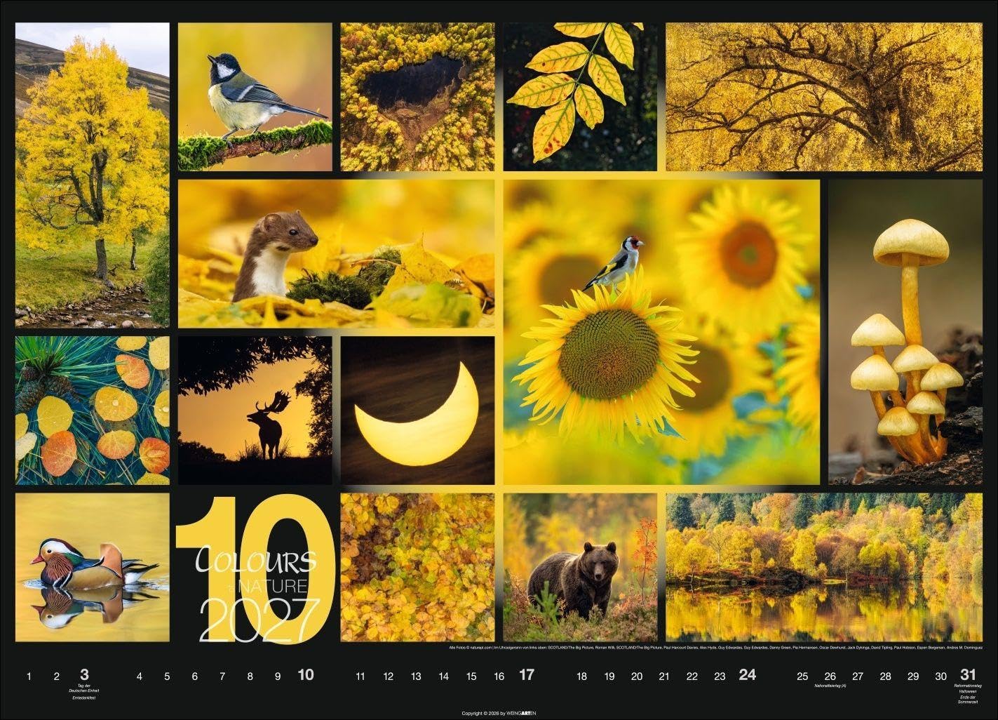 Colours of Nature Kalender 2027: Großer Foto-Wandkalender im Querformat 68 x 49 cm. Natur-Kalender 2027 mit harmonischen Bild- und Farbkompositionen für jeden Monat.