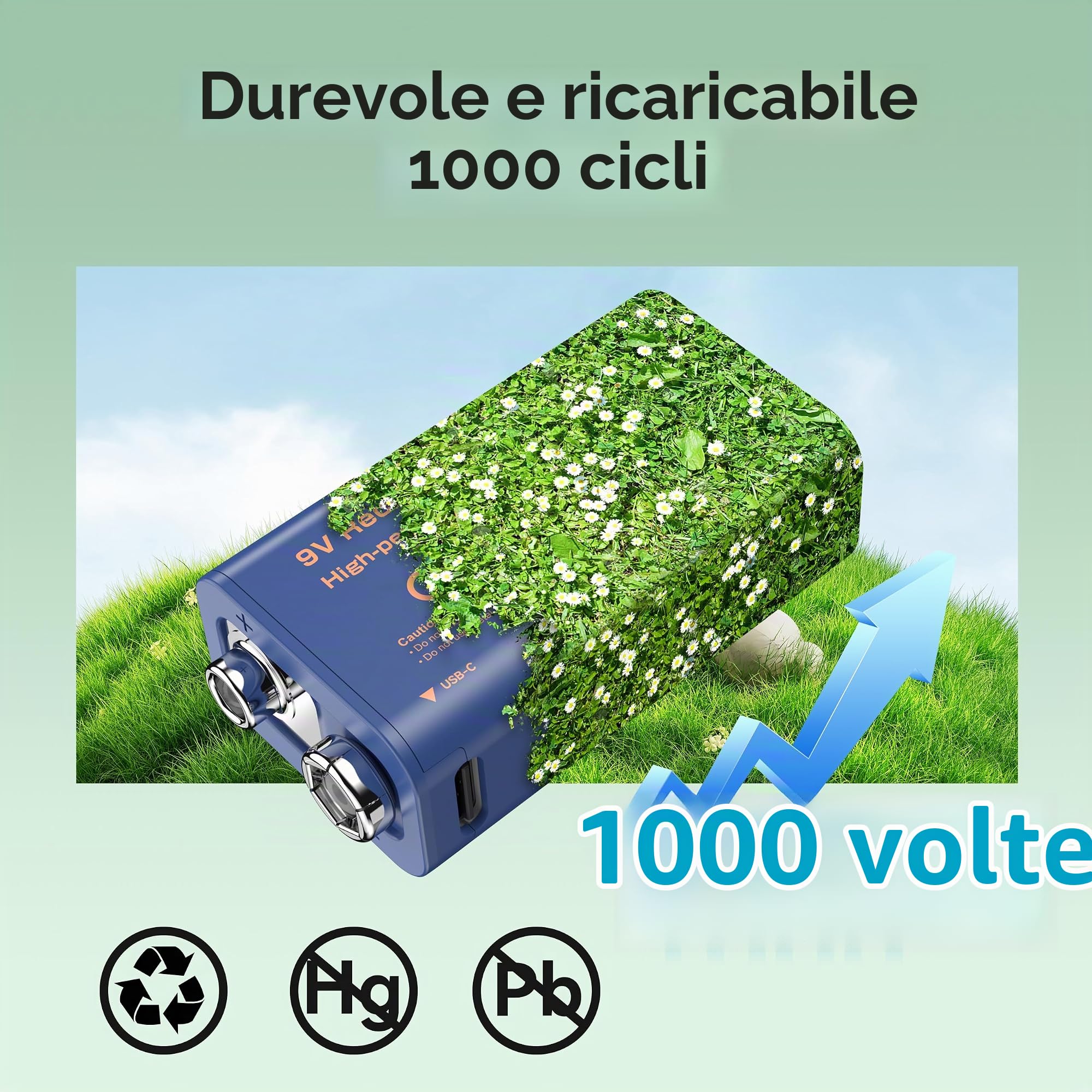 258003_5 258003_5