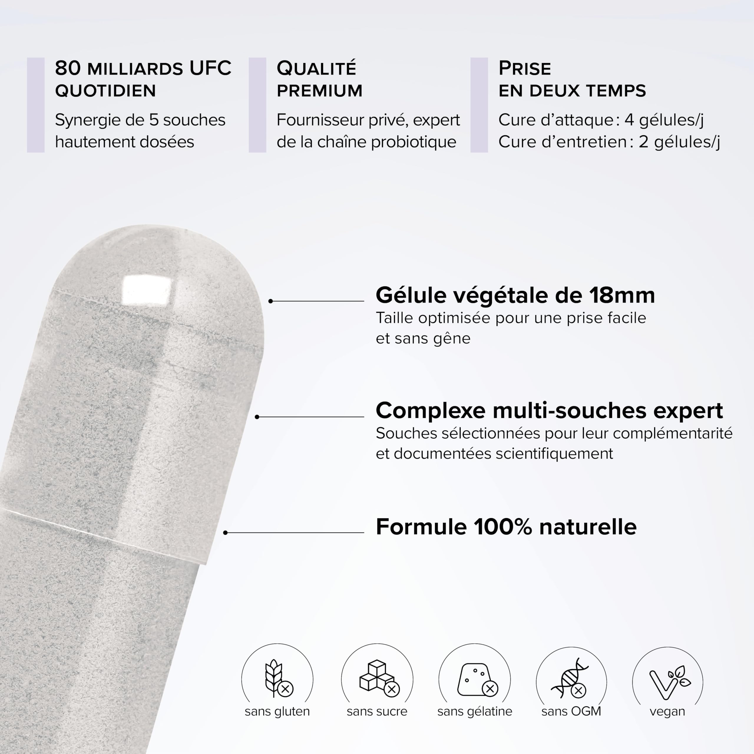 Probiotique Flore Intestinale – 80 Milliards d’UFC/jour – Souches Probiotiques Actives – Flore Intestinale & Immunité – Complexe Multi-Souches – 60 Gélules Vegan – Beyond Elements